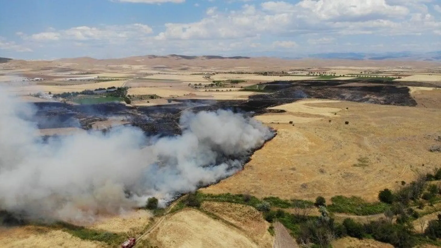 Doğu Anadolu Bölgesi'nde 246 hektar alan yandı