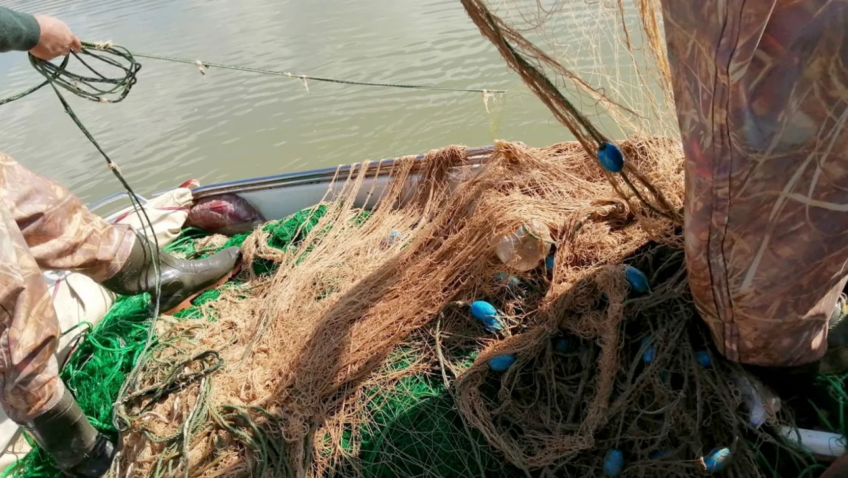 Elazığ'da 100 kilo canlı balık ele geçirildi!