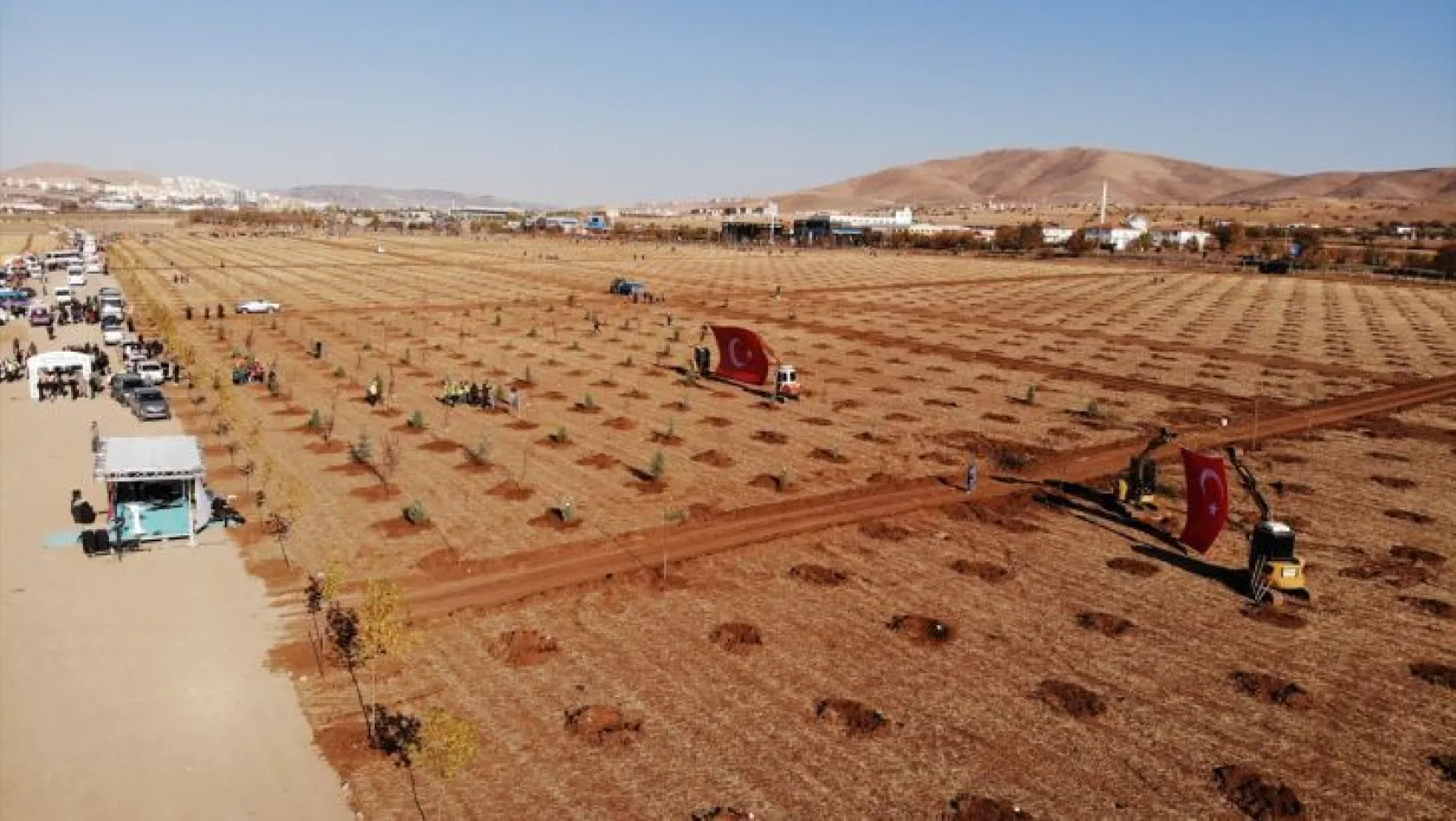 Elazığ'da 23 bin fidan toprakla buluştu