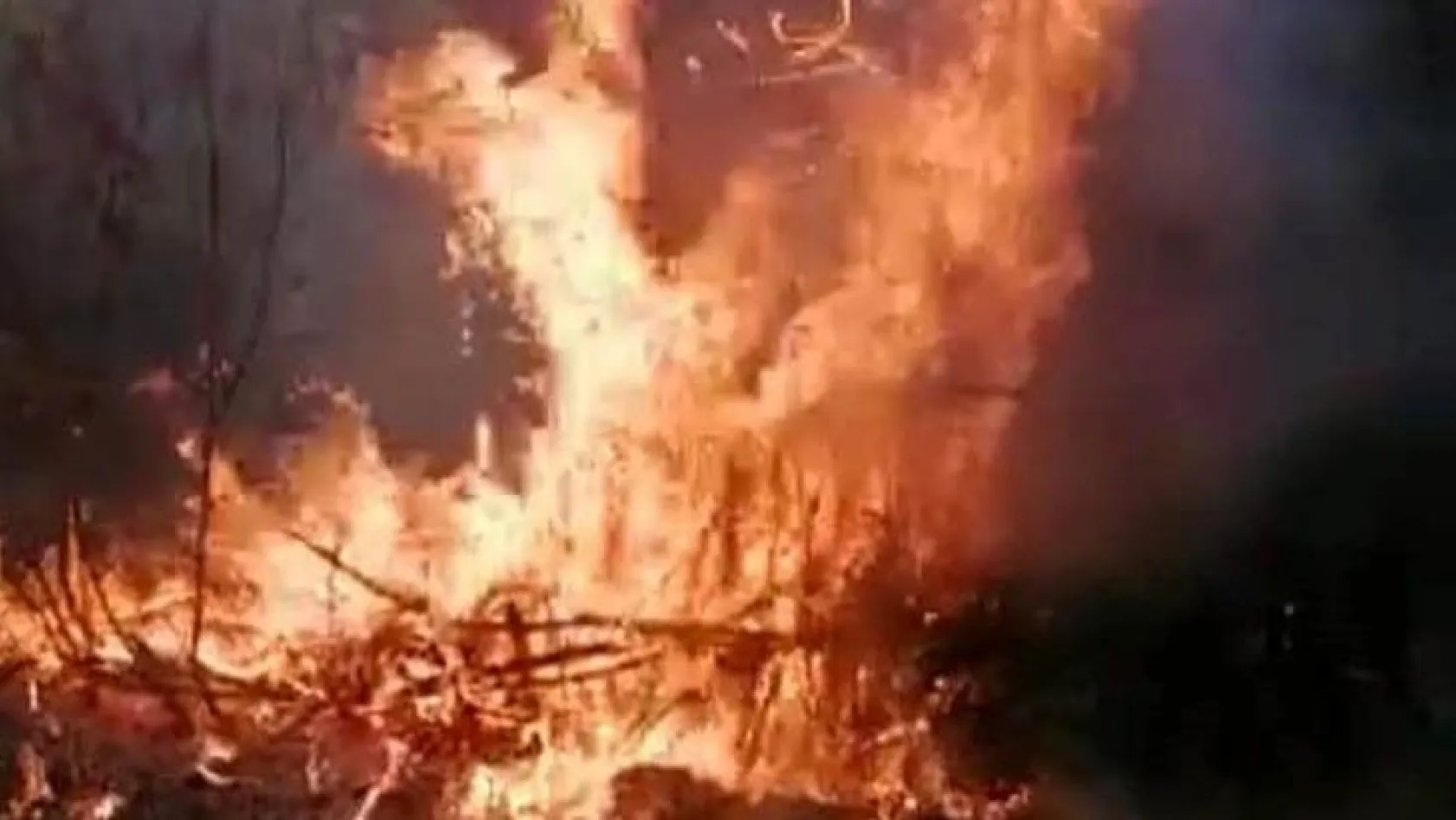 Elazığ'da bahçe yangını