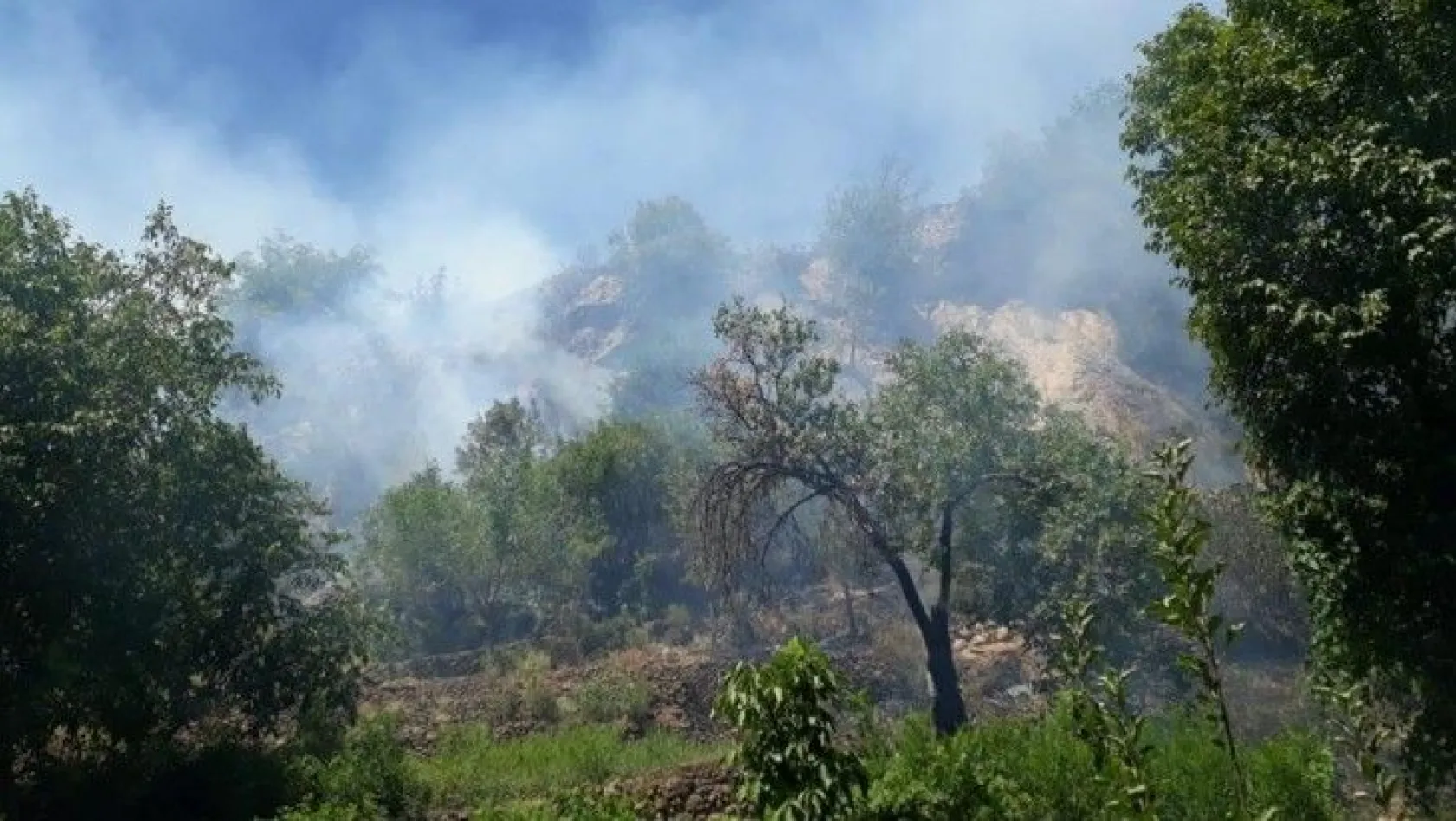Elazığ'da çıkan orman yangını söndürüldü