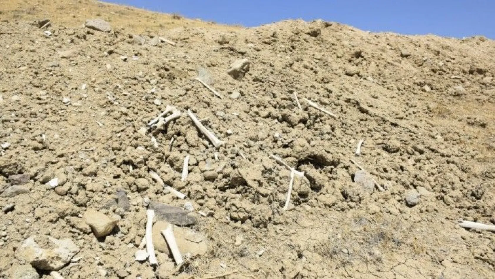 Mezarlıklarda bulunan kemikler ortalığa saçıldı