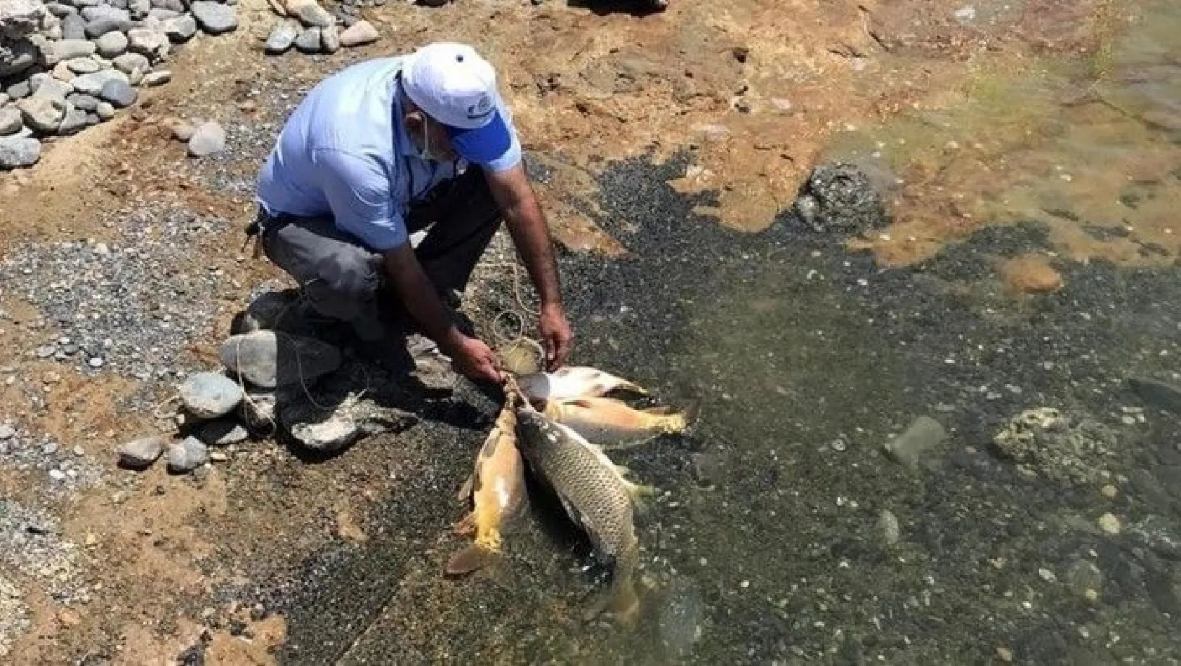Elazığ'da kaçak balık avına geçit yok