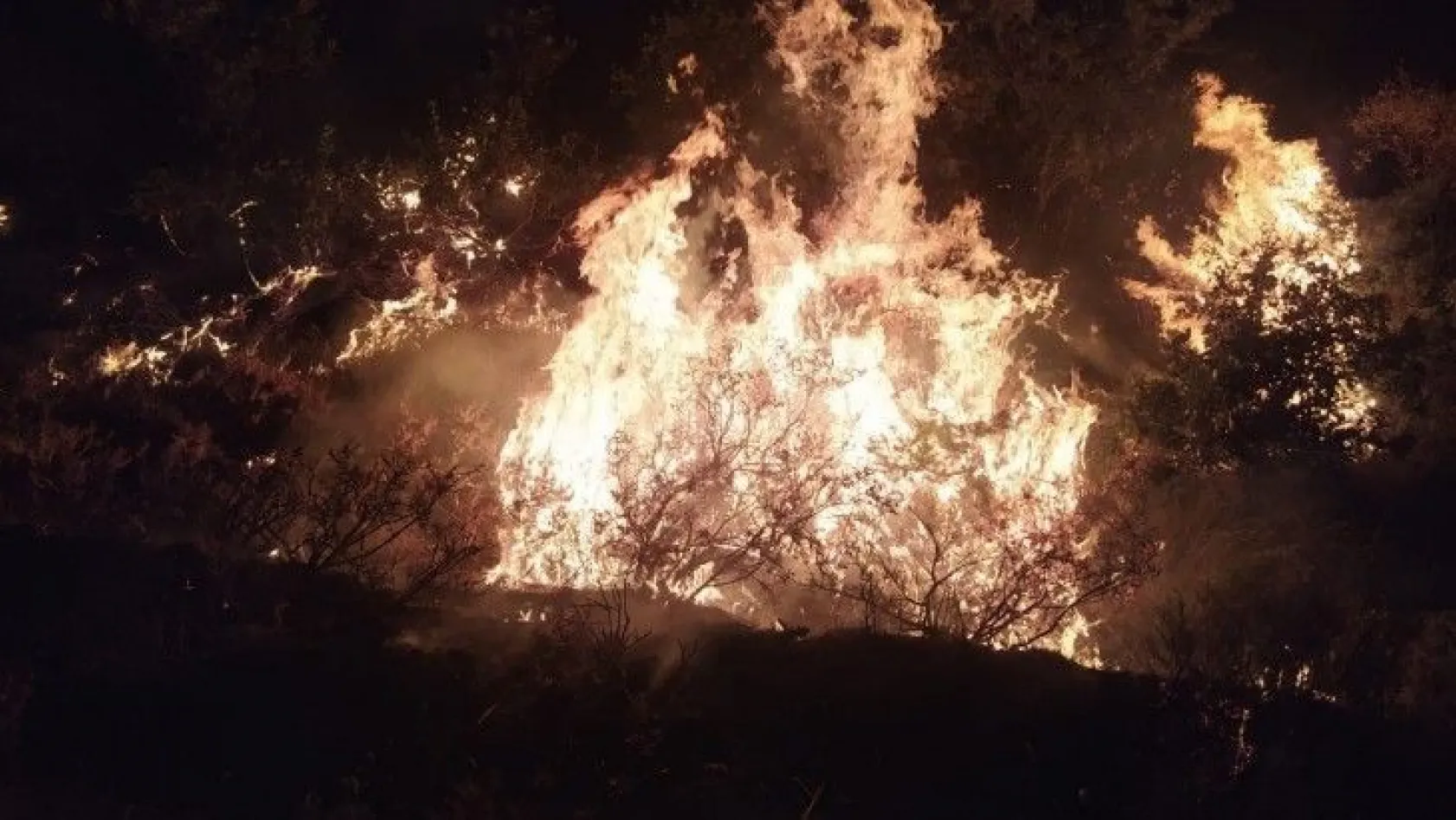 Elazığ'da orman yangınına müdahale sürüyor