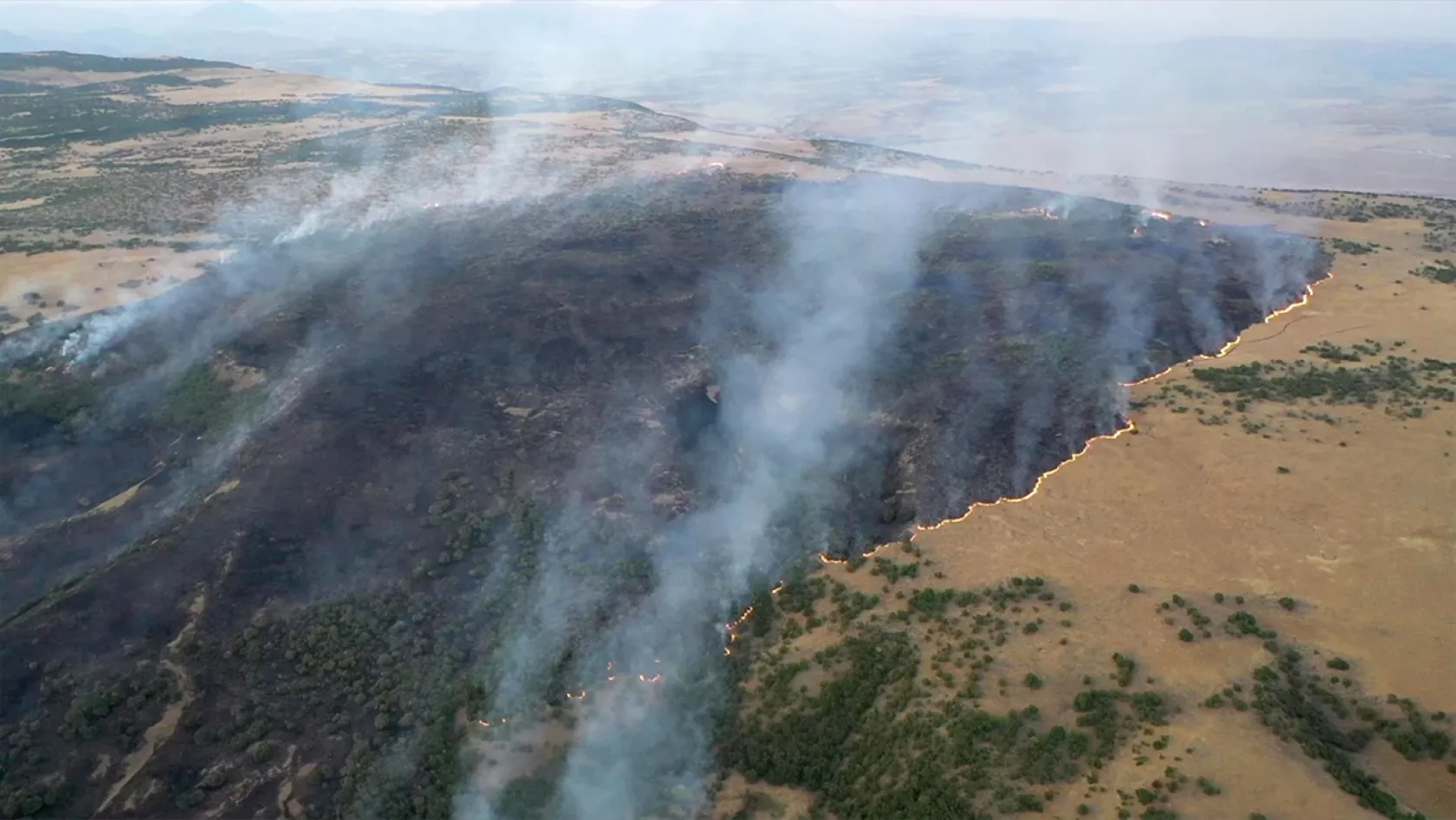 Elazığ'da ormanlık alanda yangın
