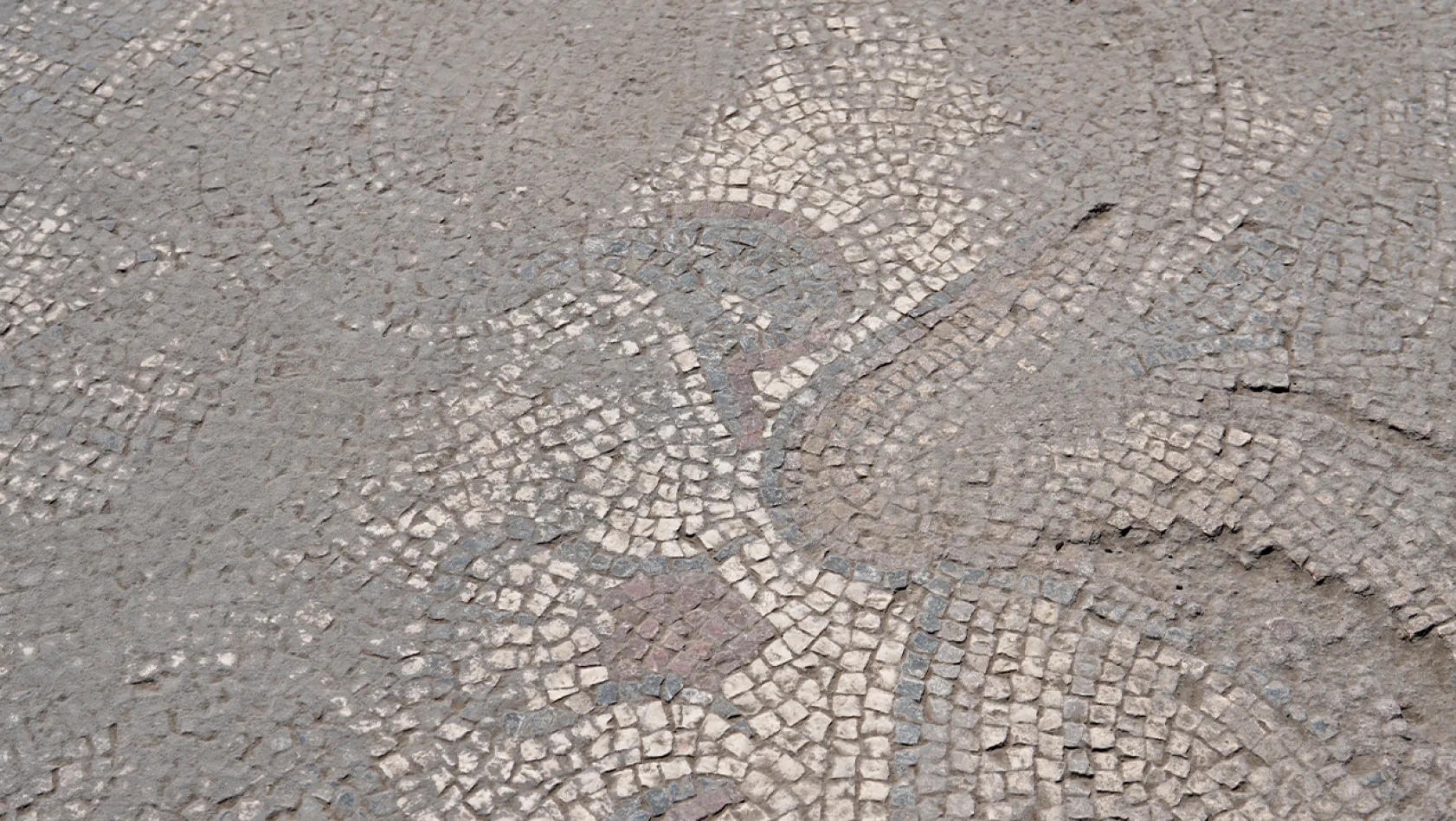 Elazığ'da Roma dönemine ait mozaik bulundu
