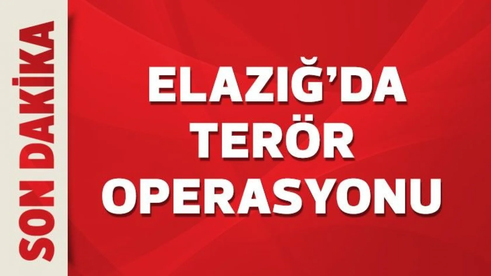 Elazığ'da terör operasyonu
