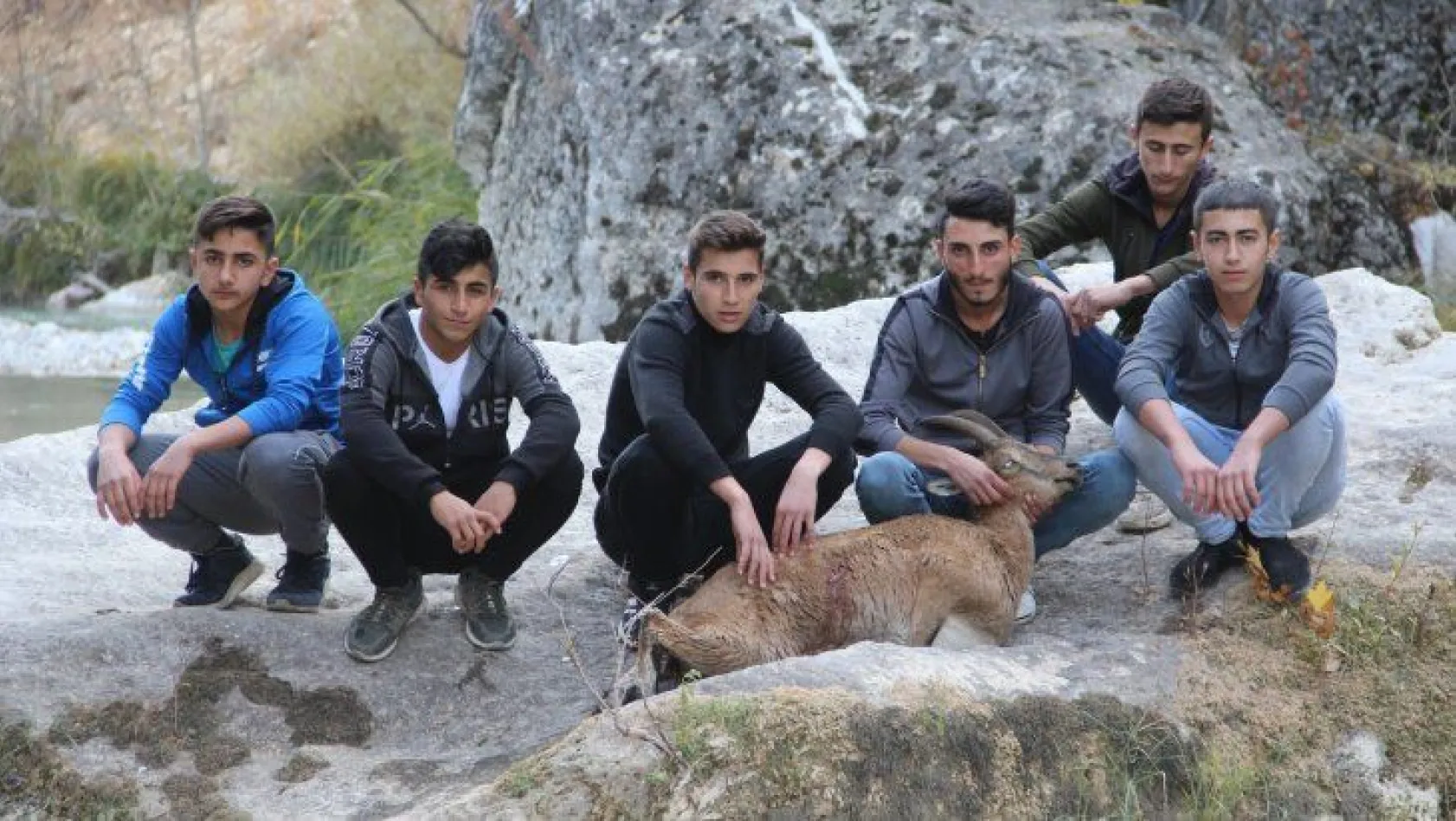 Gençler ve ekipler seferber oldu, tüm çabaya rağmen yaban keçisi kurtarılamadı