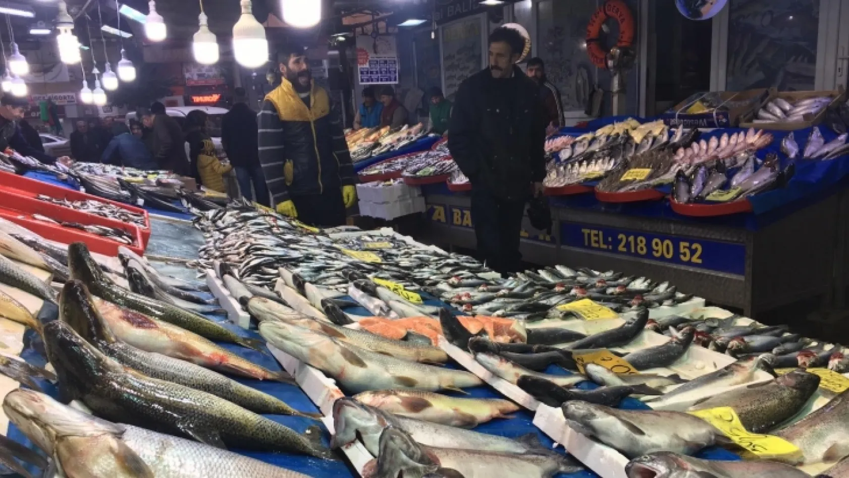 Türkiye'nin yarım adası Elazığ'da, balık bereketliliği yaşanıyor