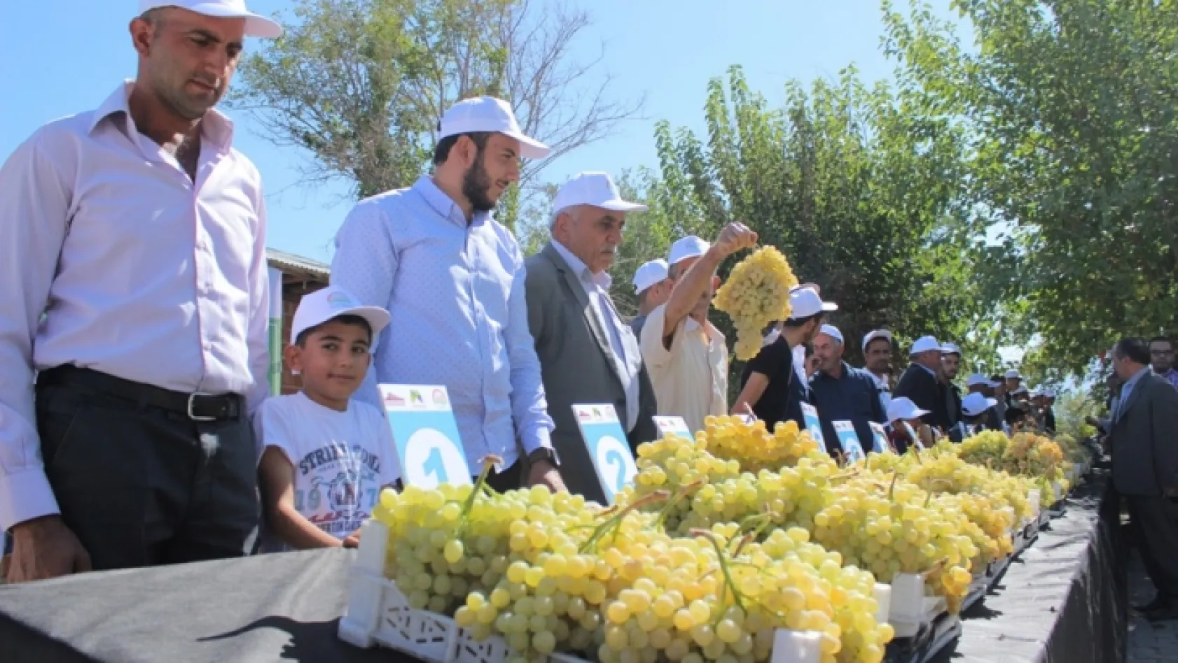 Elazığ'da üzüm festivali düzenlendi