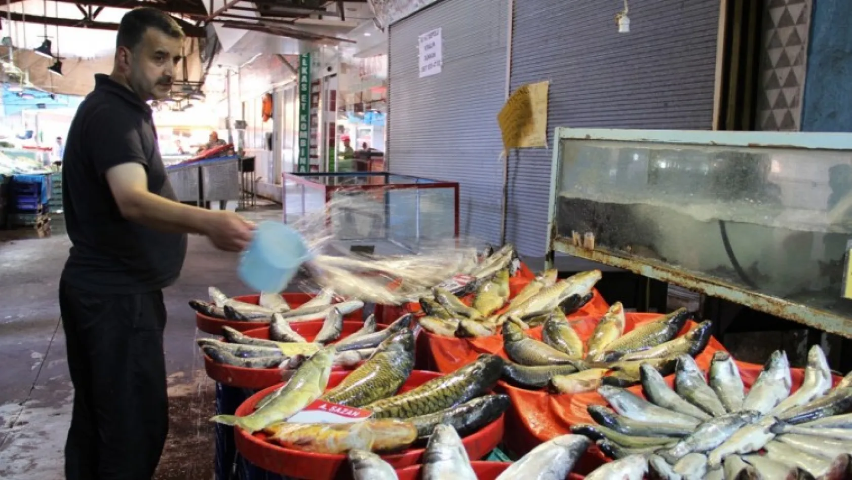 Balık satışları arttı