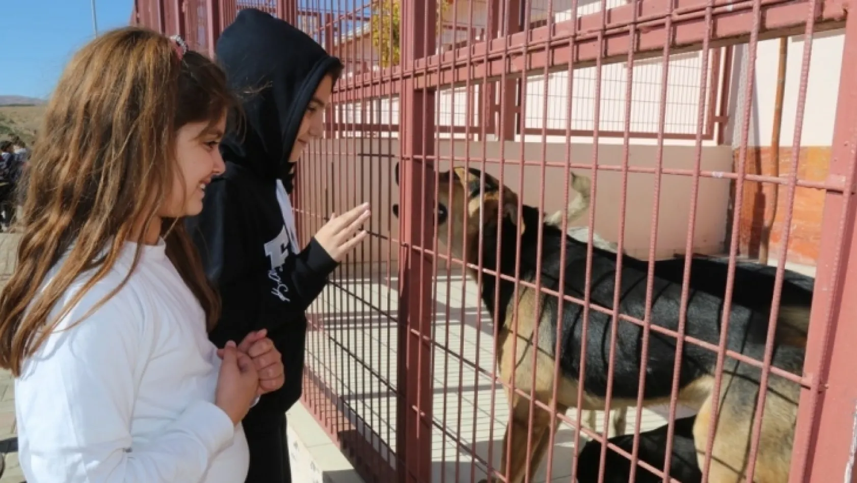 Elazığ'da 'Dünya Hayvanları Koruma Günü' etkinlikleri