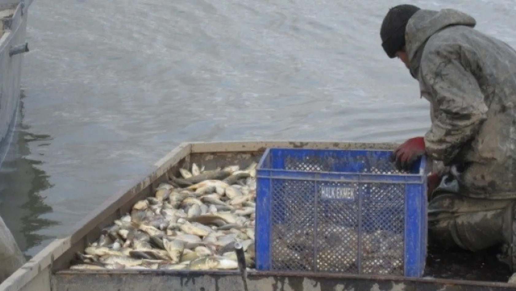 200 kilogram kaçak balık yakalandı