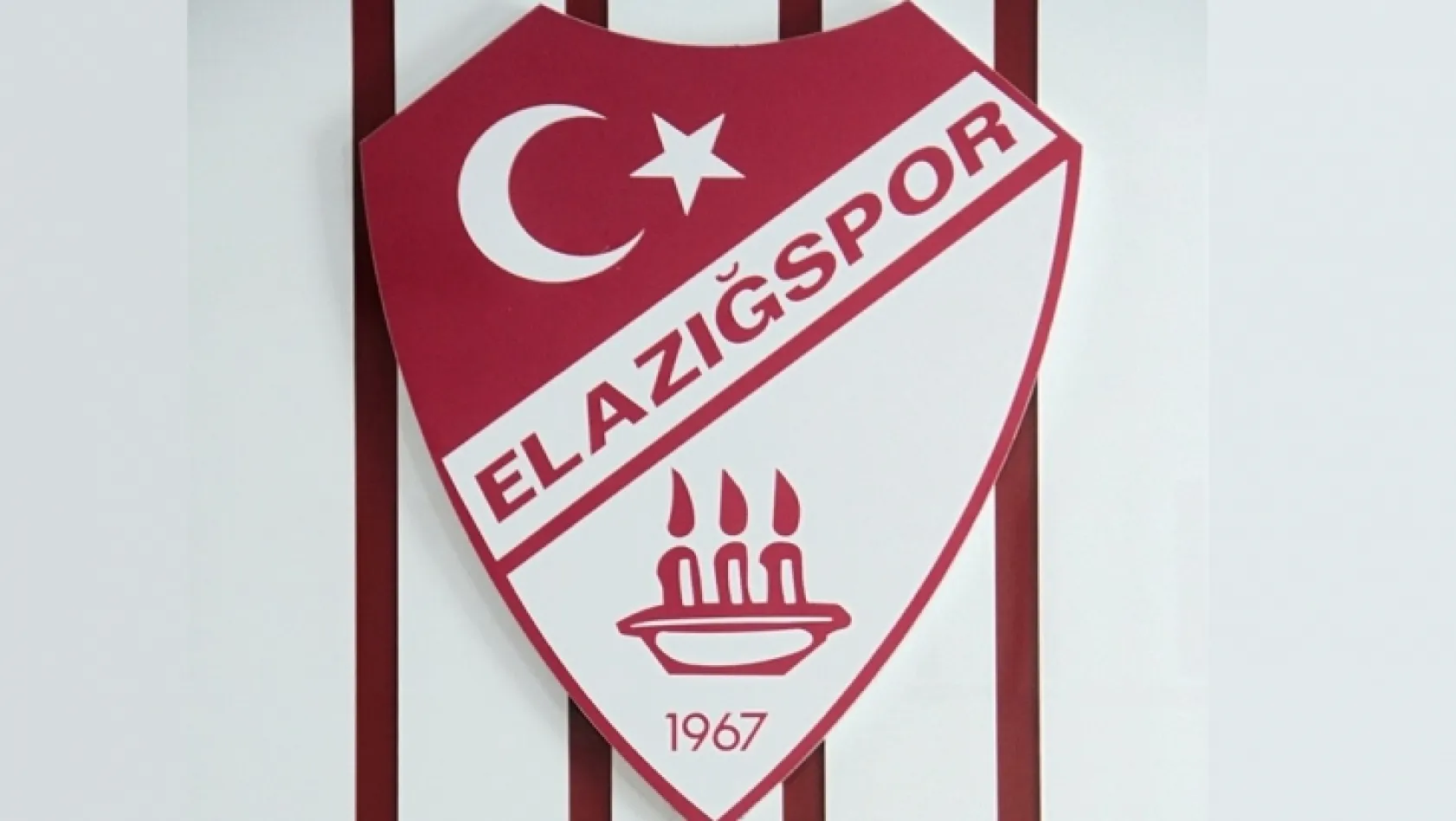 Elazığspor'da 260 delegenin üyeliği askıya alındı