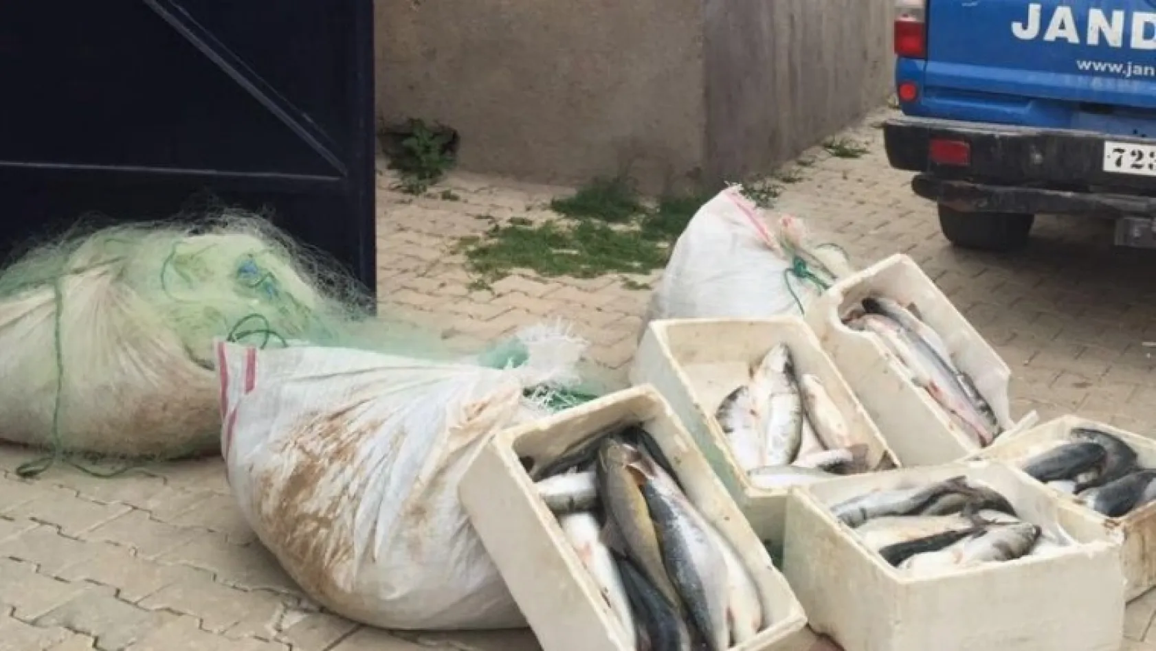 Kaçak avlanan balıkçılara 4 bin 500 lira ceza