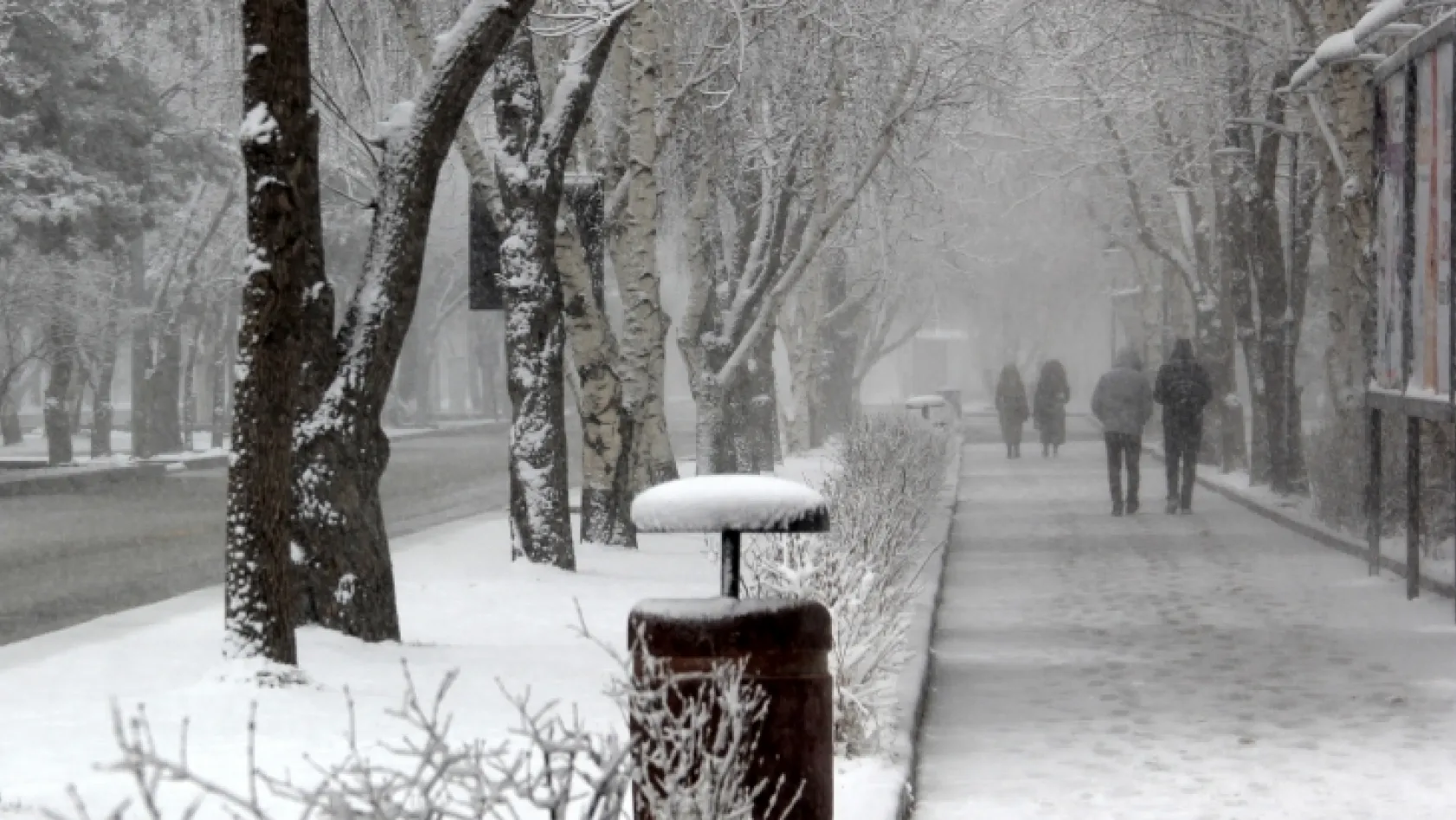 Erzurum ve Erzincan'a lapa lapa kar yağdı