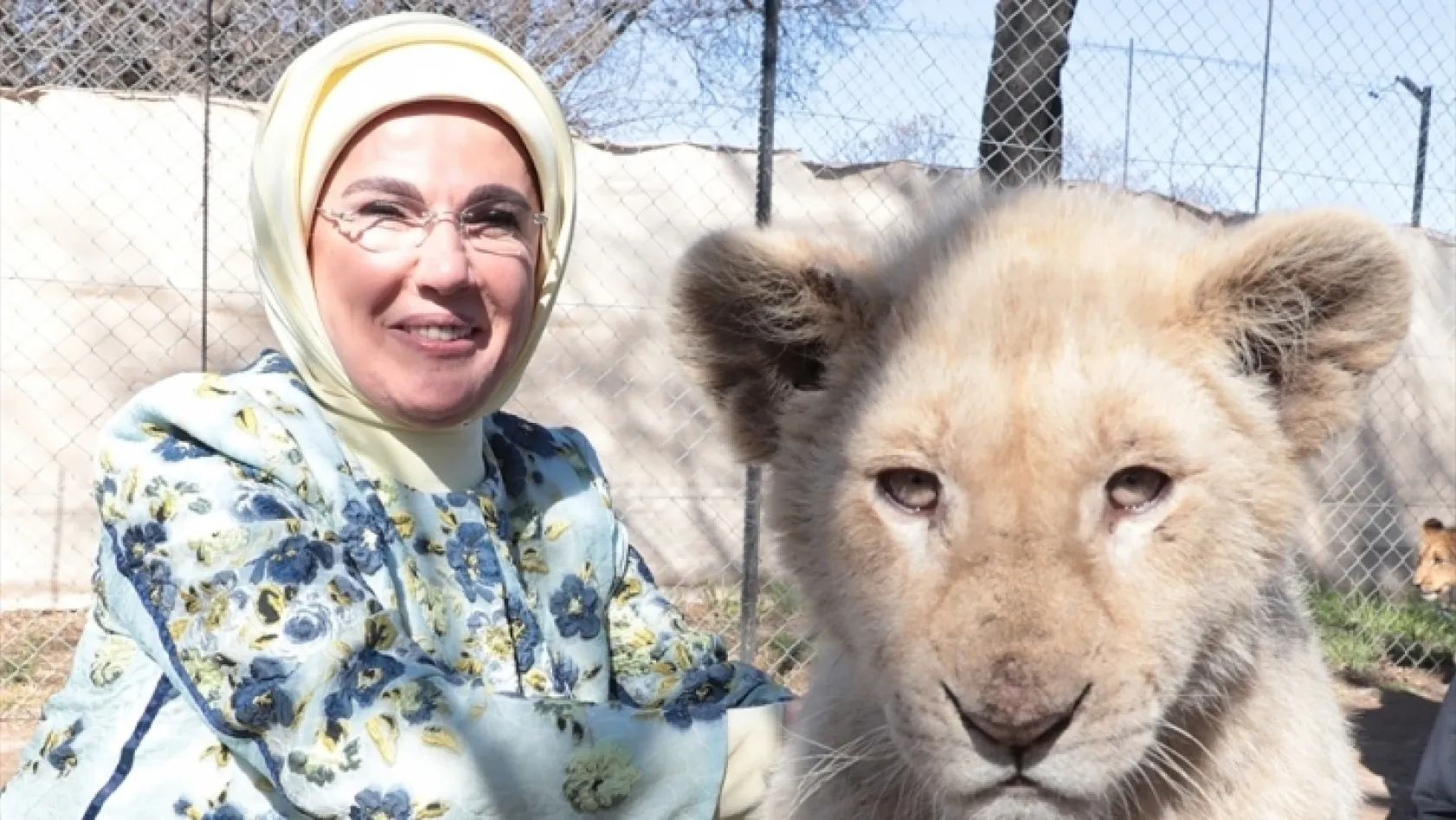 Emine Erdoğan yavru aslanları sevdi