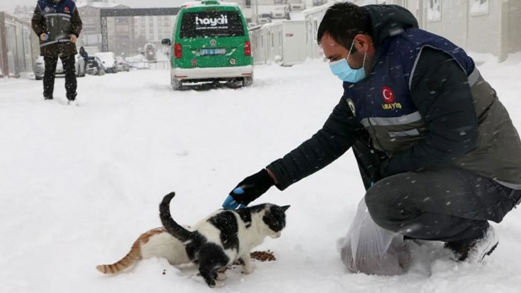 'HAYDİ' polisleri sokak hayvanlarını besledi
