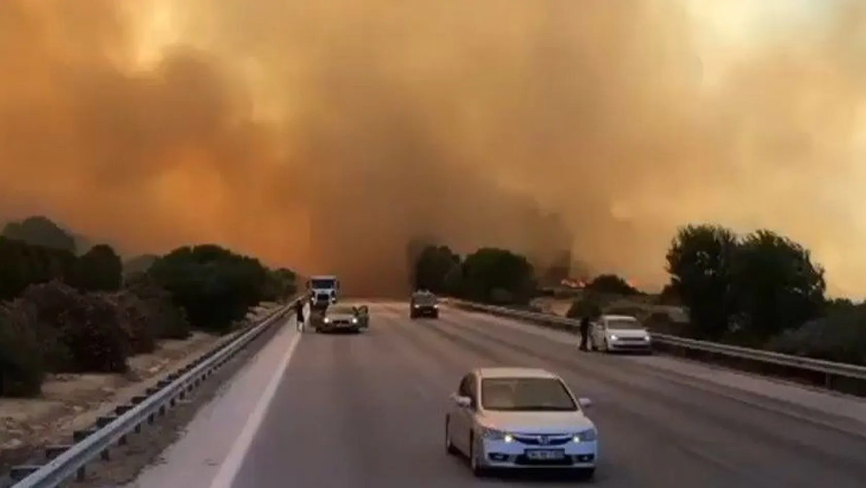 İzmir Çeşme'de yangın