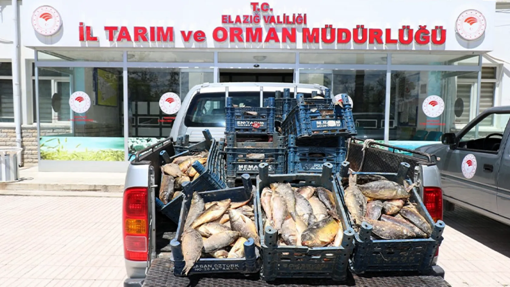 Kaçak balık avcılarına para cezası!