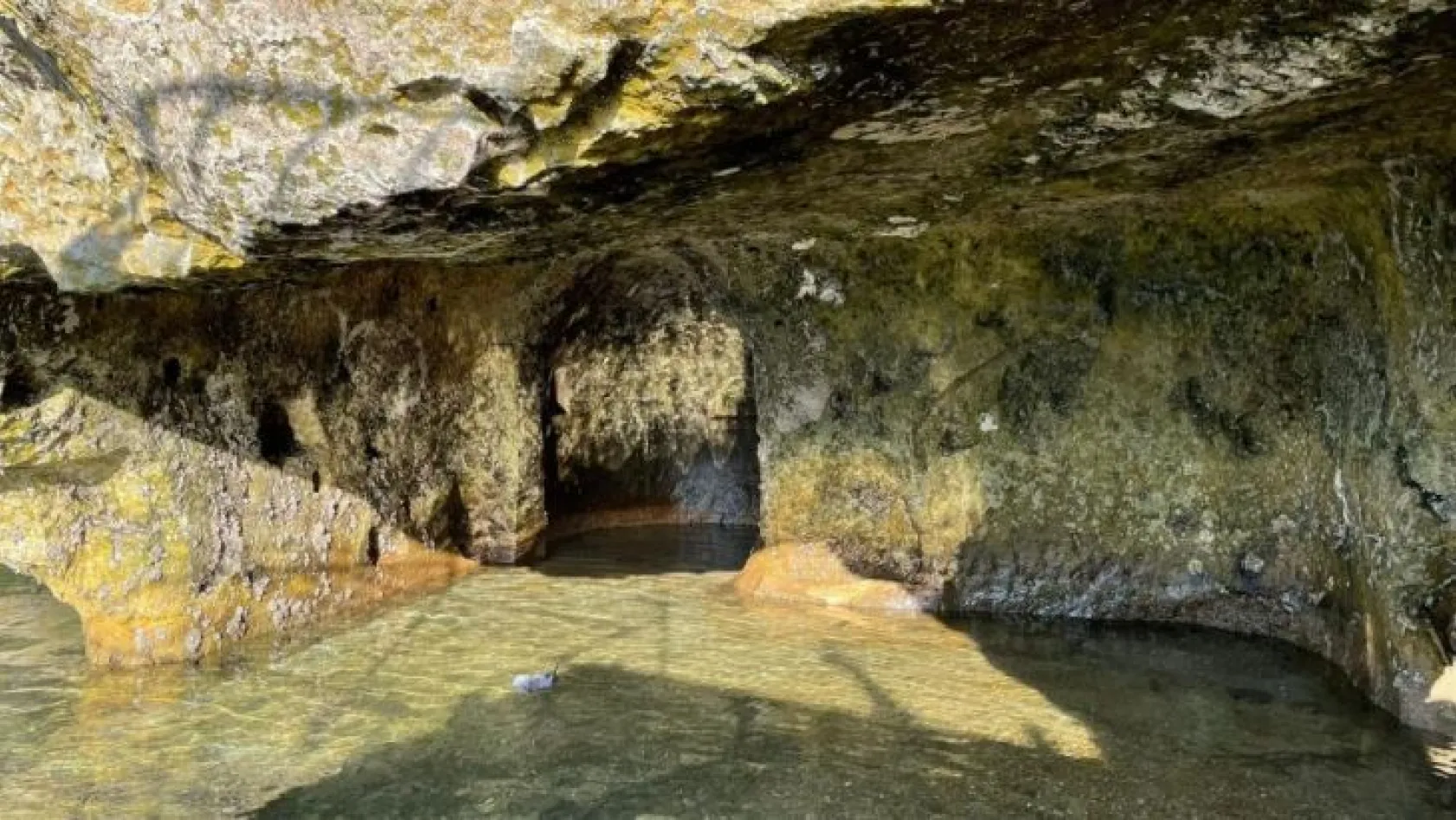 Keban'da 45 milyon yıllık tarihi kalıntılar görüntülendi