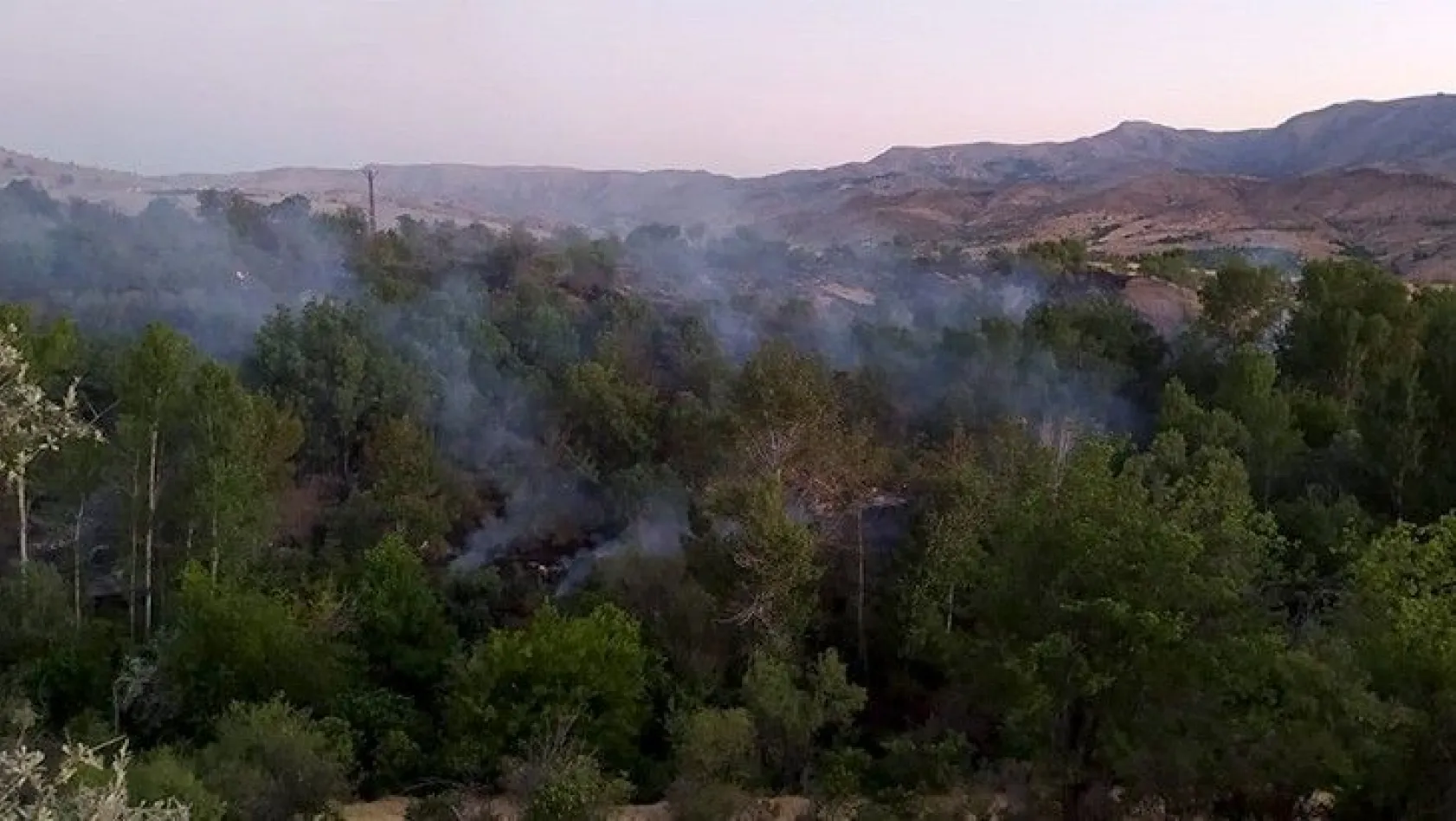 Keban'da orman yangını