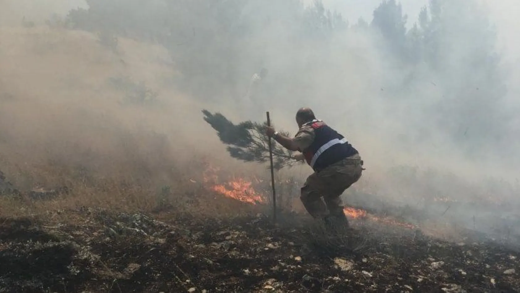 Keban'da orman yangını