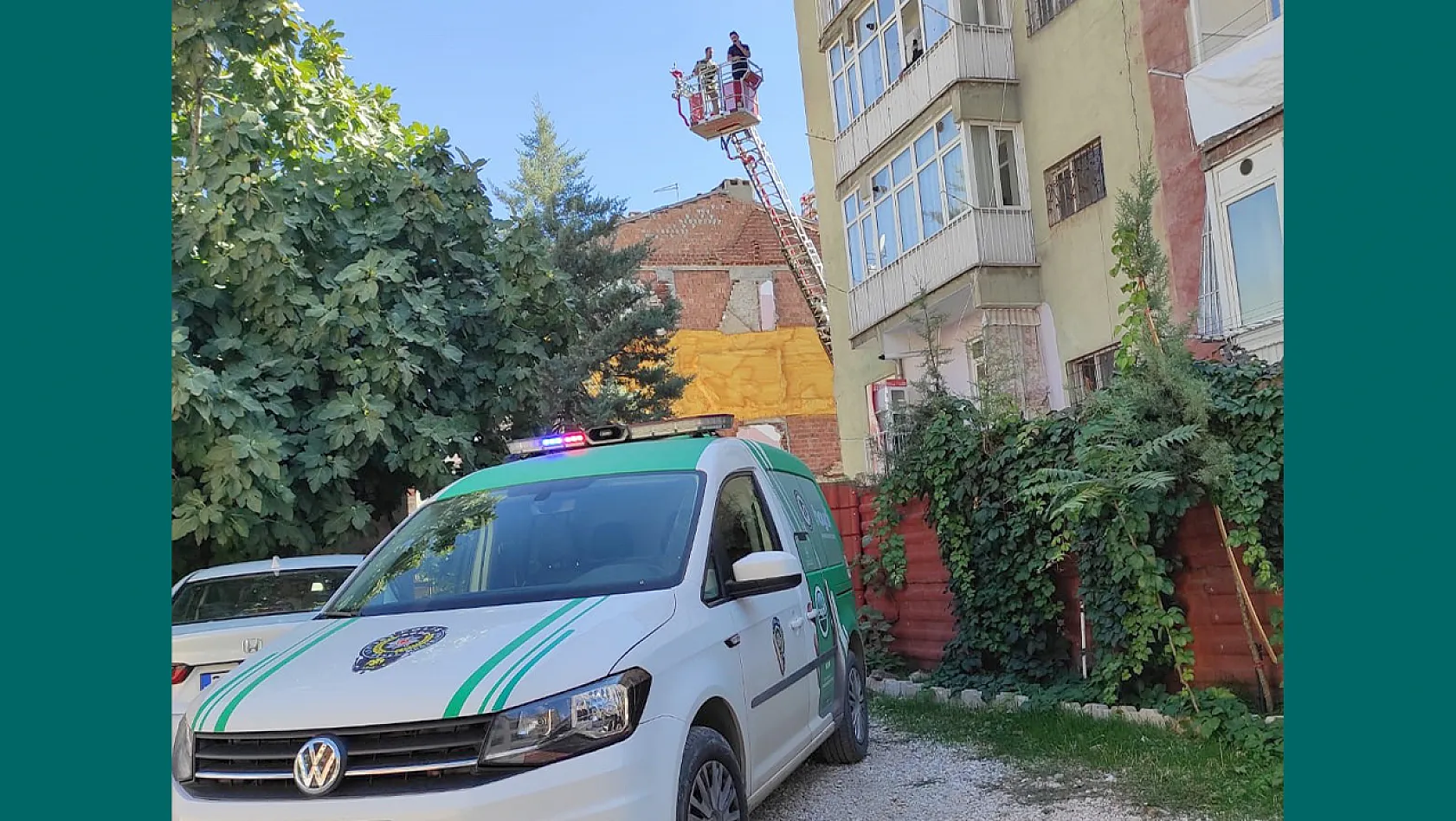 Mahsur kalan kediyi HAYDİ ve itfaiye kurtardı