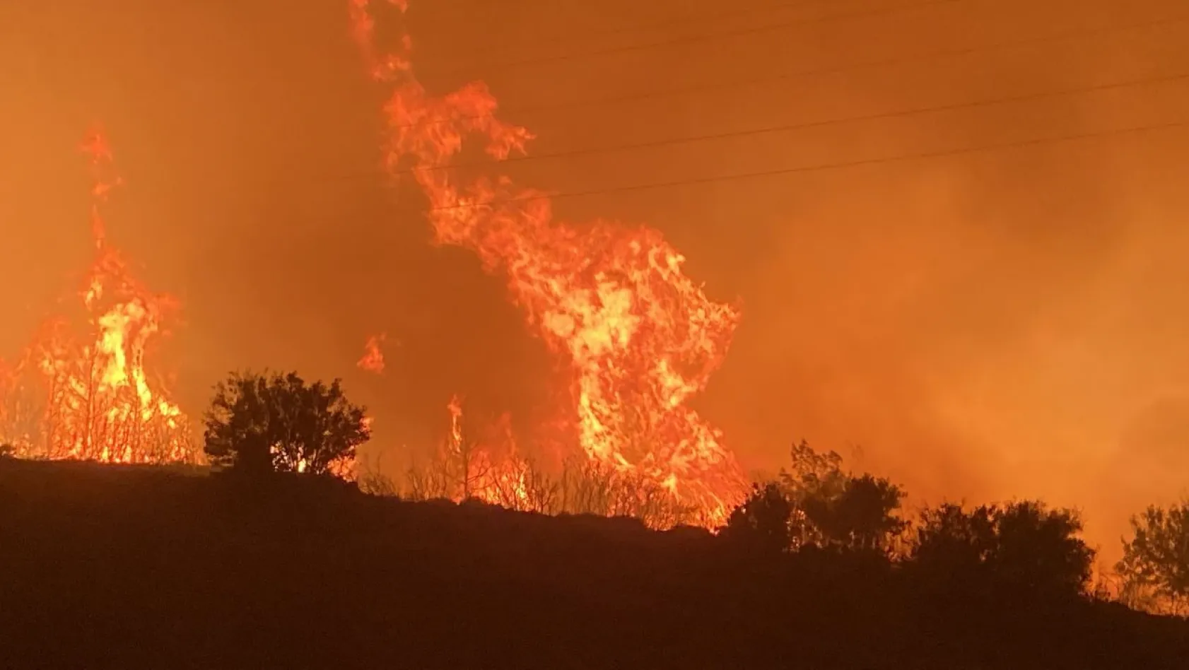 Mersin'de orman yangını sürüyor