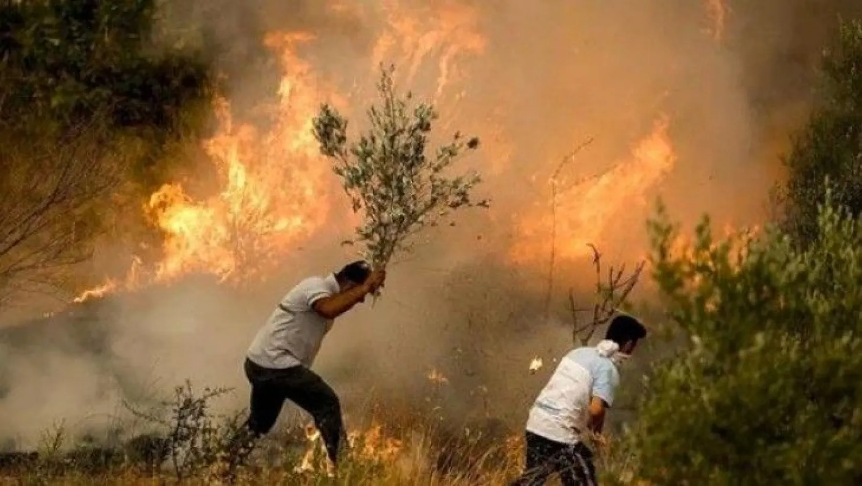 Milas ve Köyceğiz yangınları dışında tüm orman yangınları kontrol altına alındı