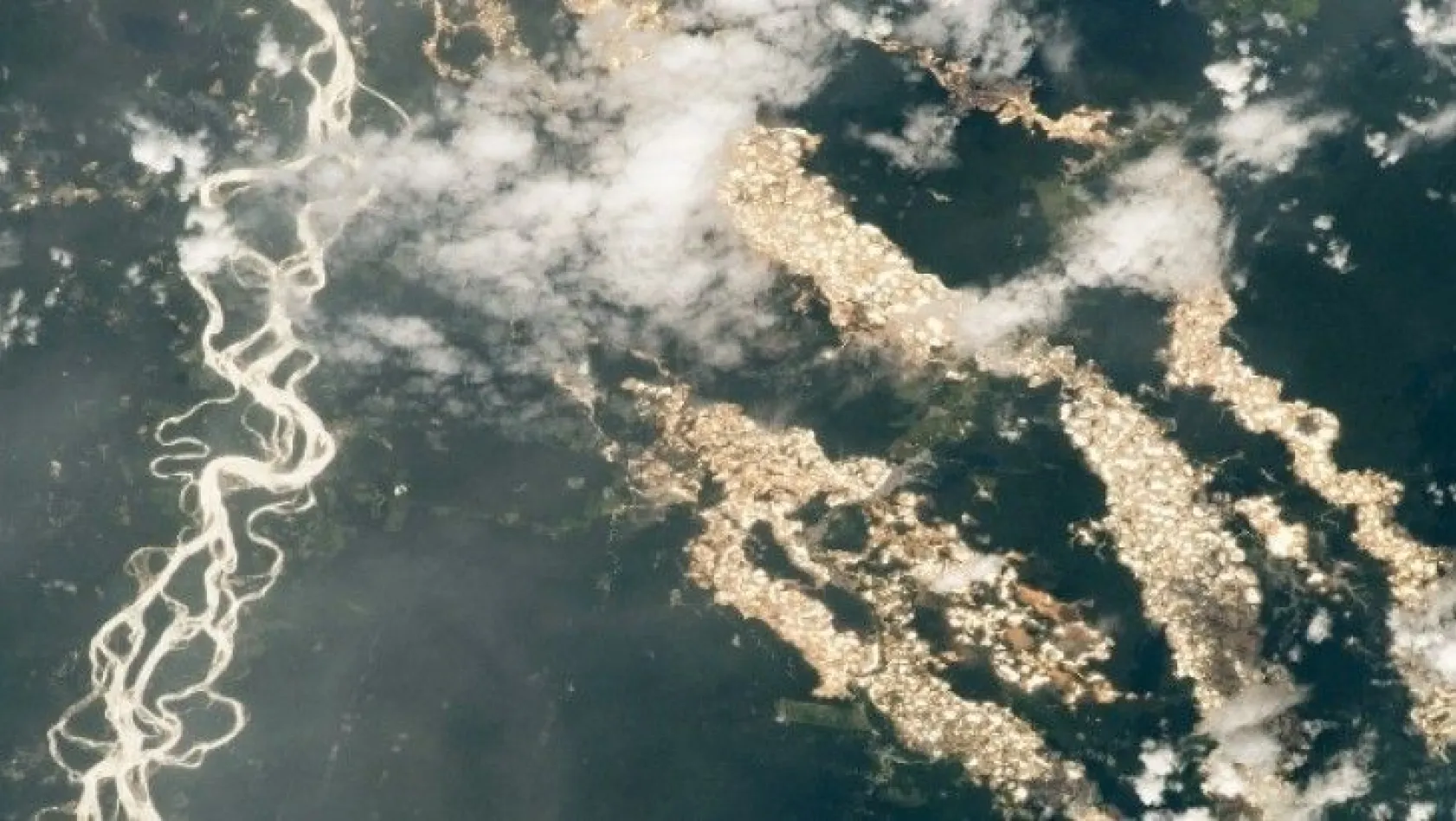 NASA yayınladığı fotoğraflarla Amazon'un 'altın nehirlerini' ortaya çıkardı
