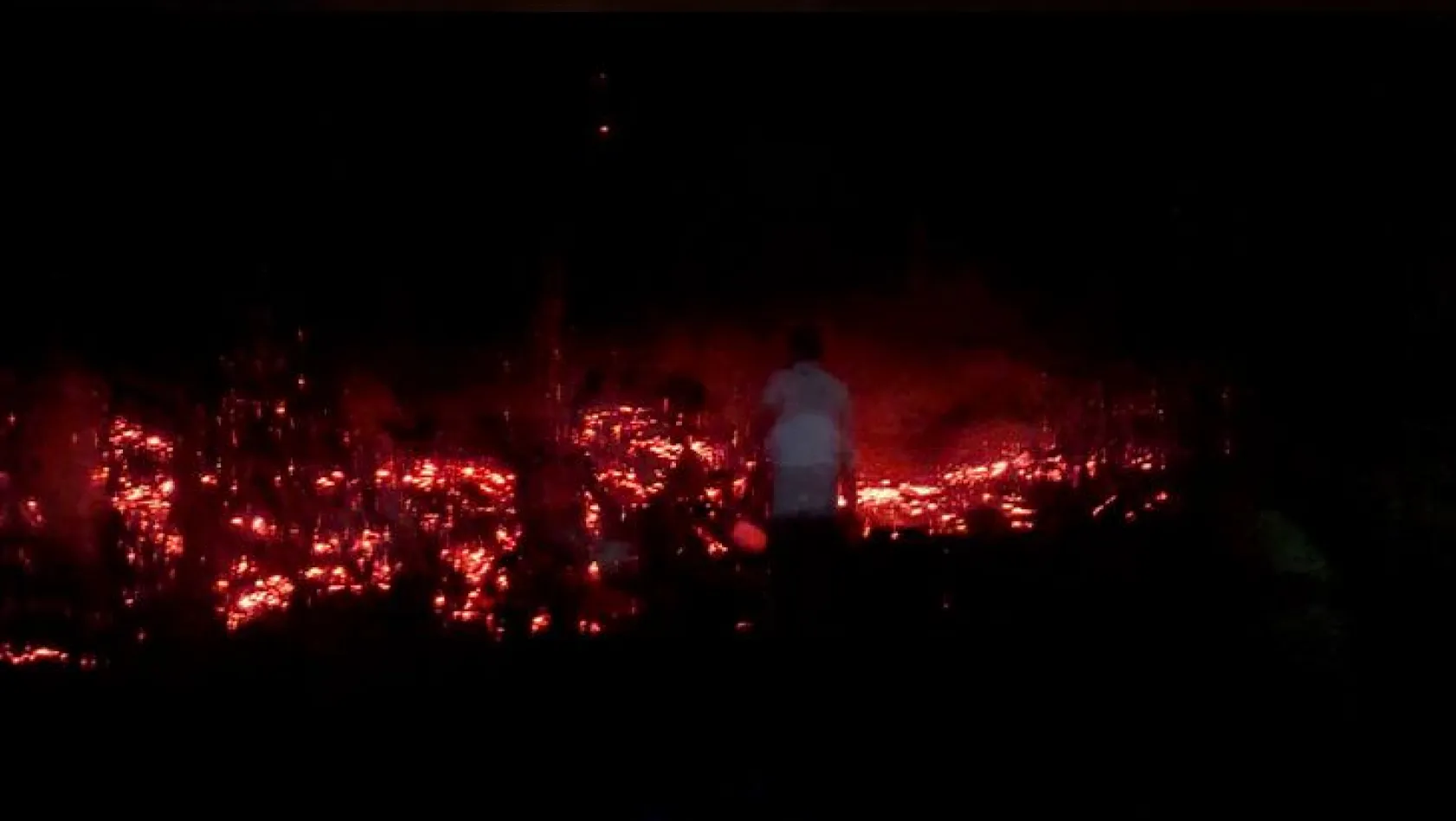 Palu'da tarla yangınına köy halkından müdahale