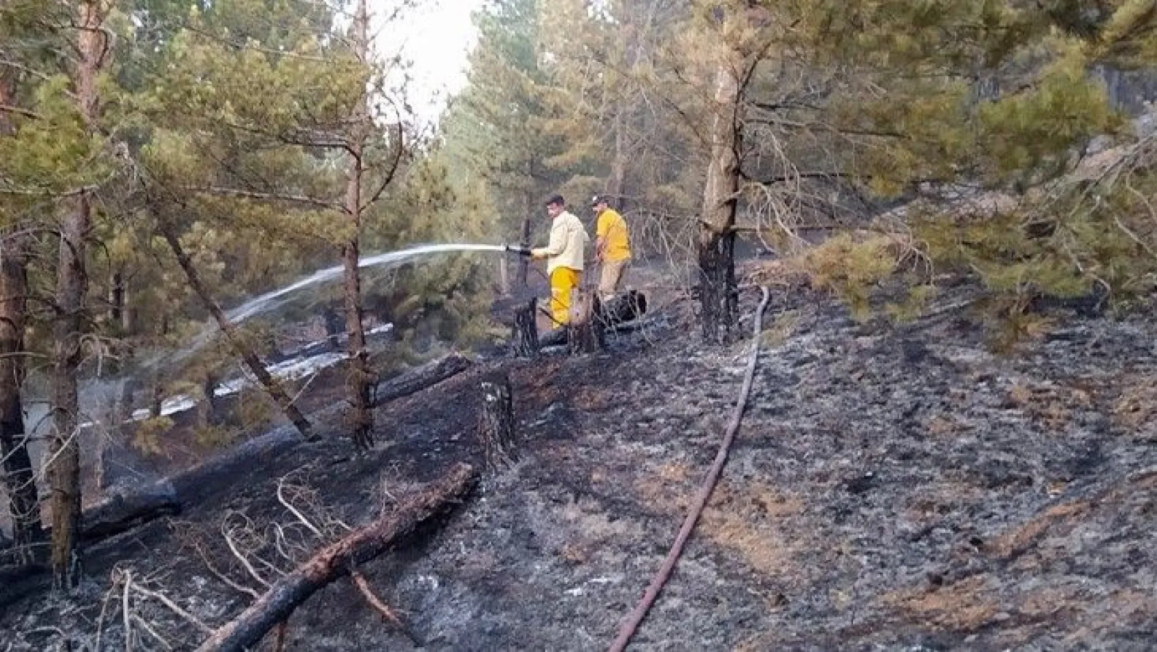 Sivrice'deki orman yangını söndürüldü