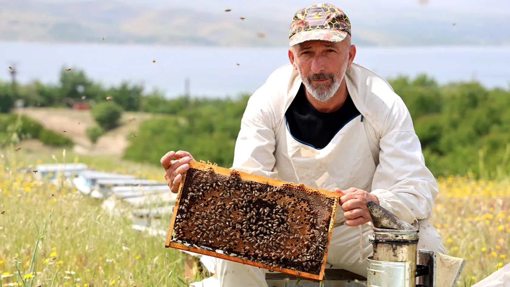 Toz taşınımı arıların hayatını zorlaştırıyor