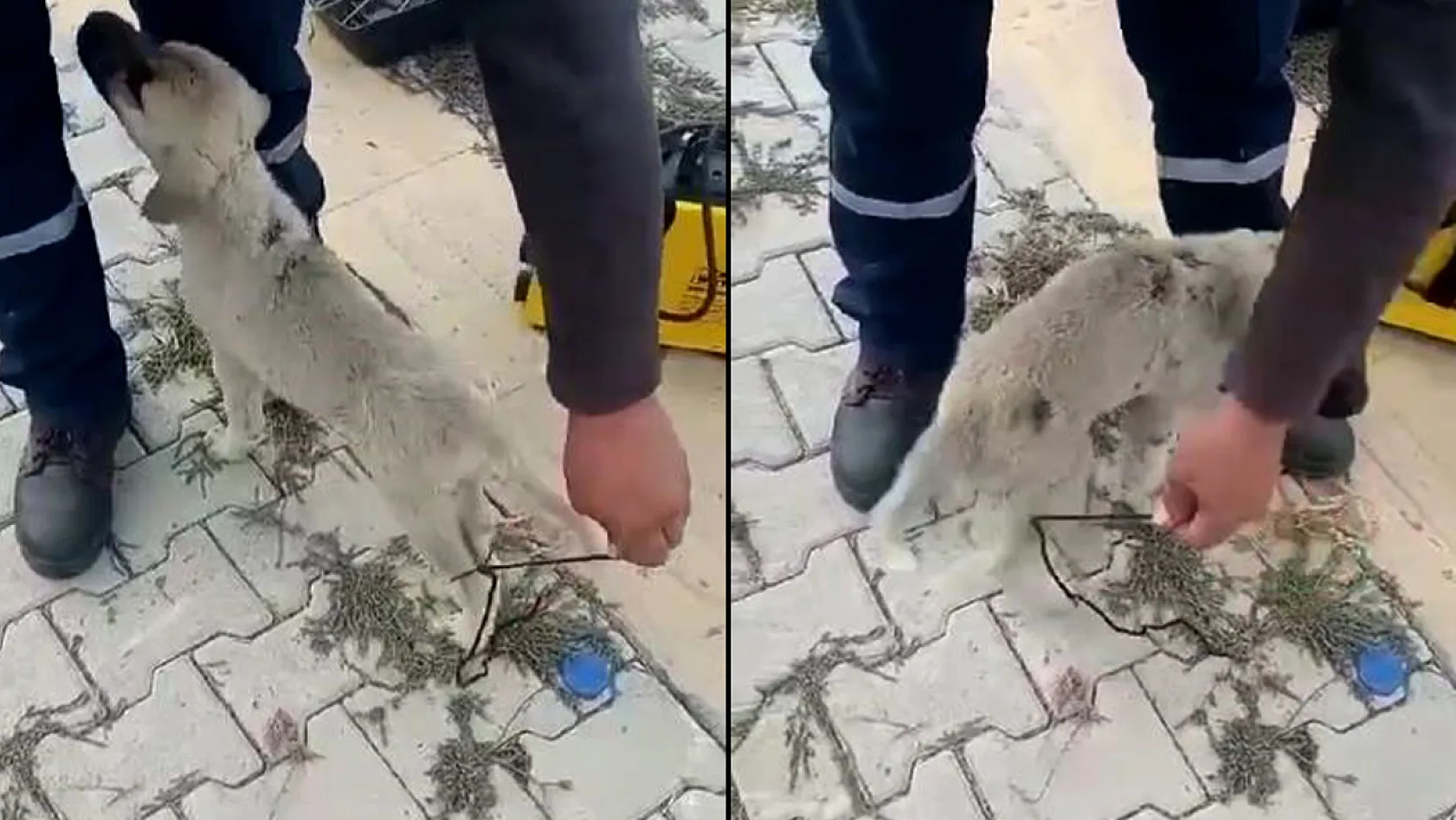 Vicdansızlık!