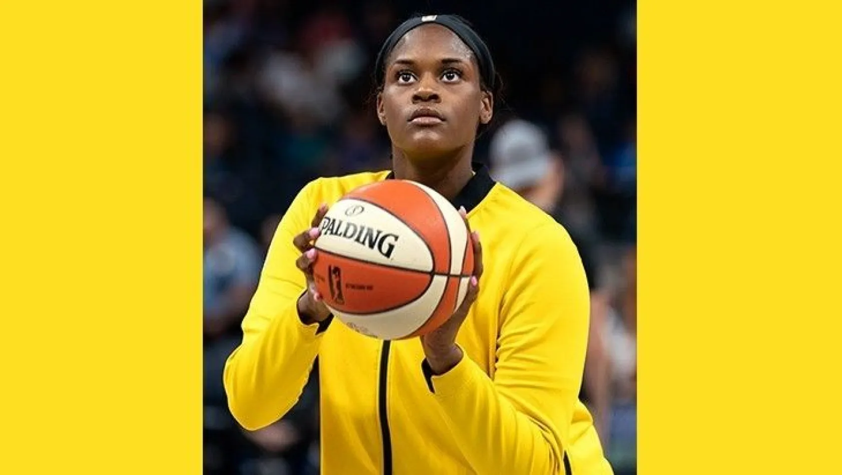 WNBA Ligi'nin yıldız oyuncusu Elazığ'da