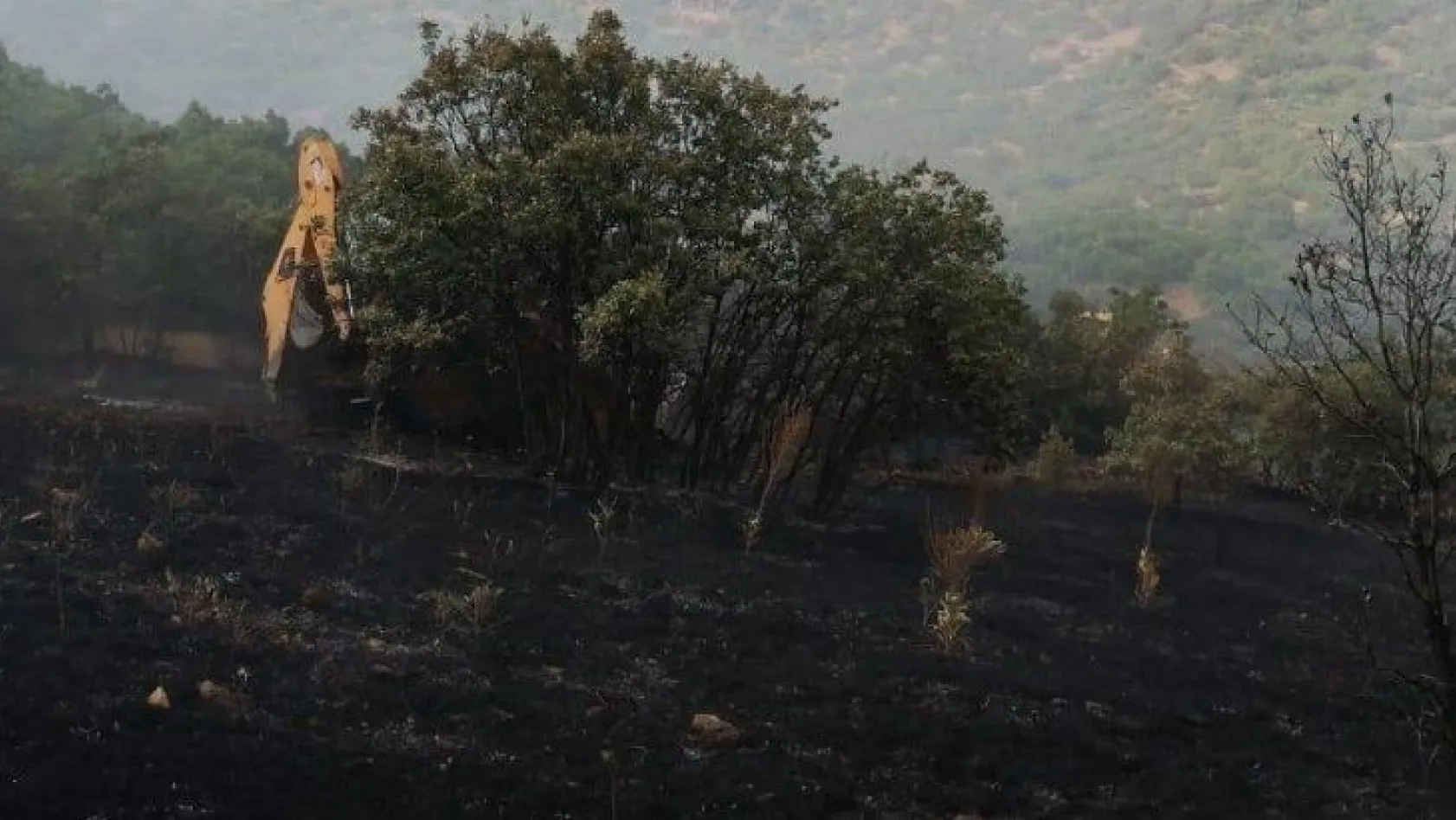 Elazığ'da yangın! Çok sayıda ağaç zarar gördü