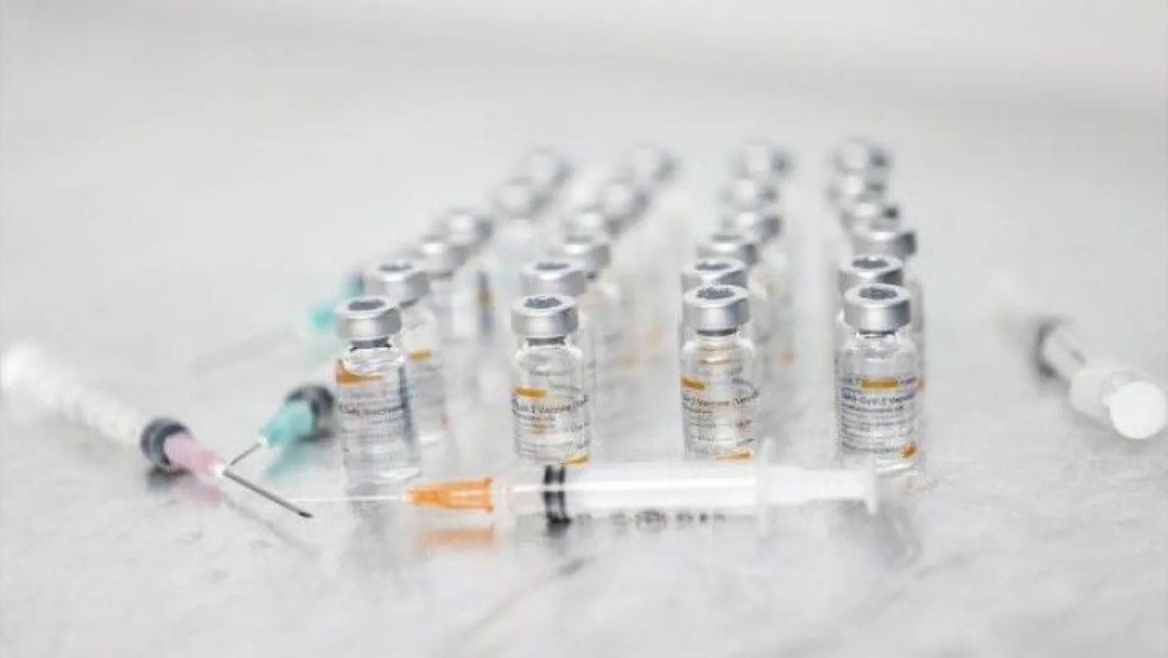 Yeni gelen aşılar 2 haftalık analiz sürecinden geçecek