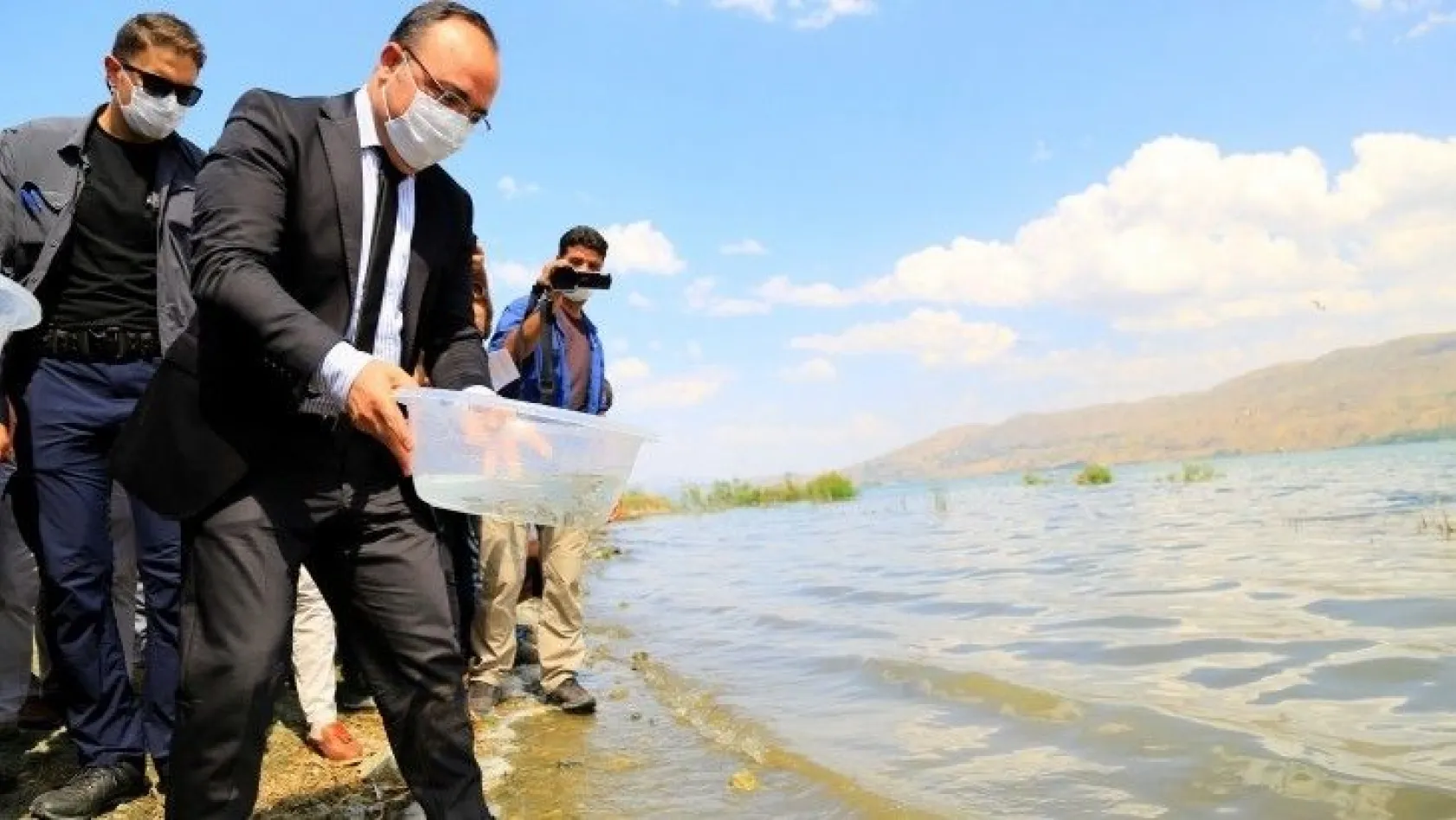 420 bin adet siraz balığı Hazar Gölü'ne bırakıldı