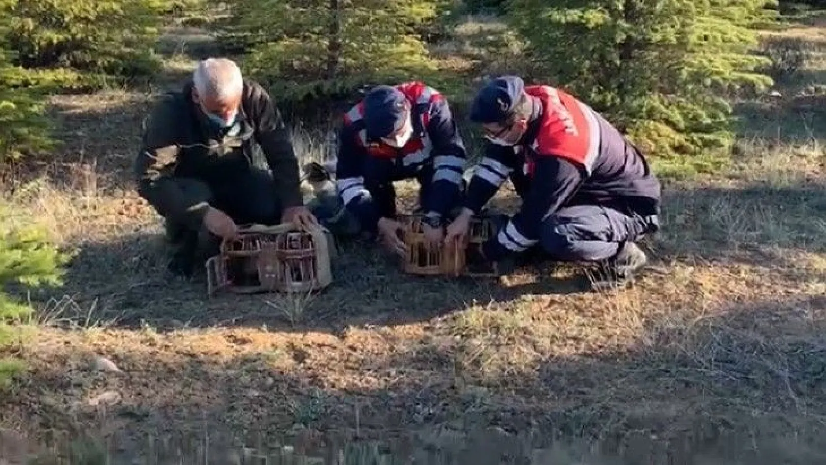 Av yasağı tanımayan kaçak avcılara ceza