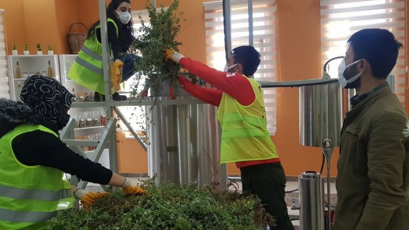 Gençler bitki çayı ve sebze tohumları üretiyor