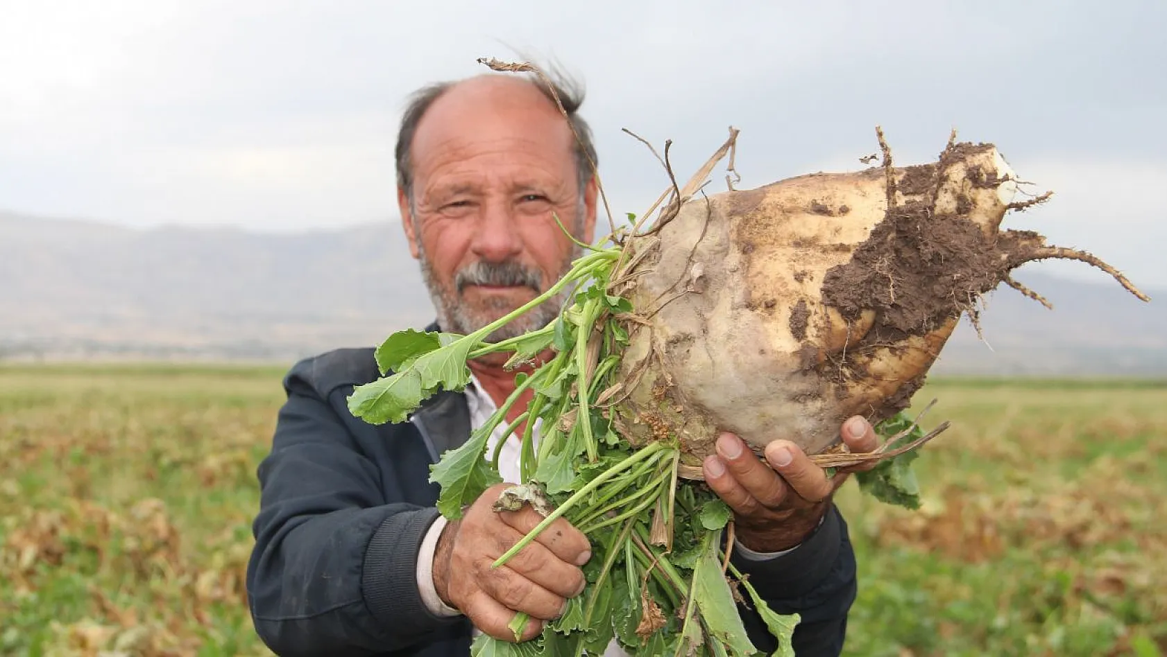Çiftçiler taban fiyatından memnun