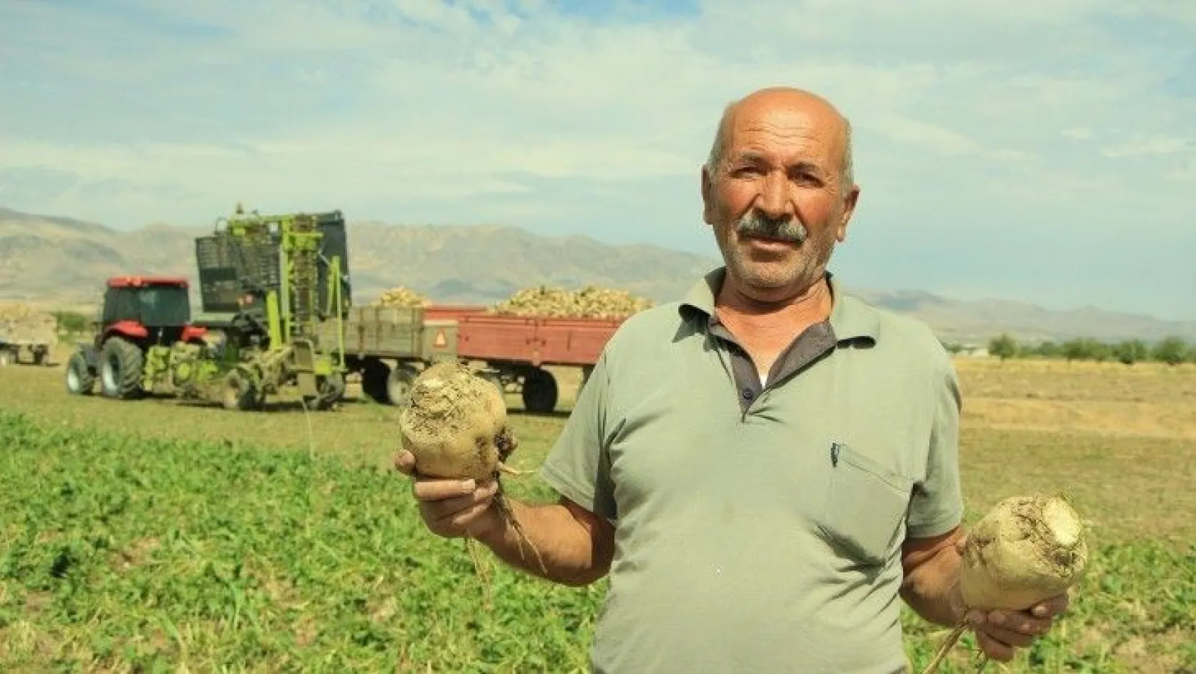 Elazığ'da çiftçiler şeker pancarı mesaisinde