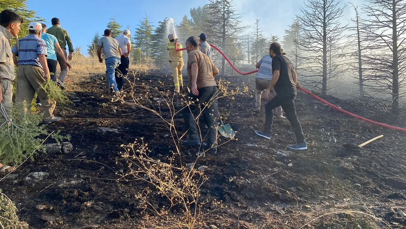Elazığ'da orman yangını