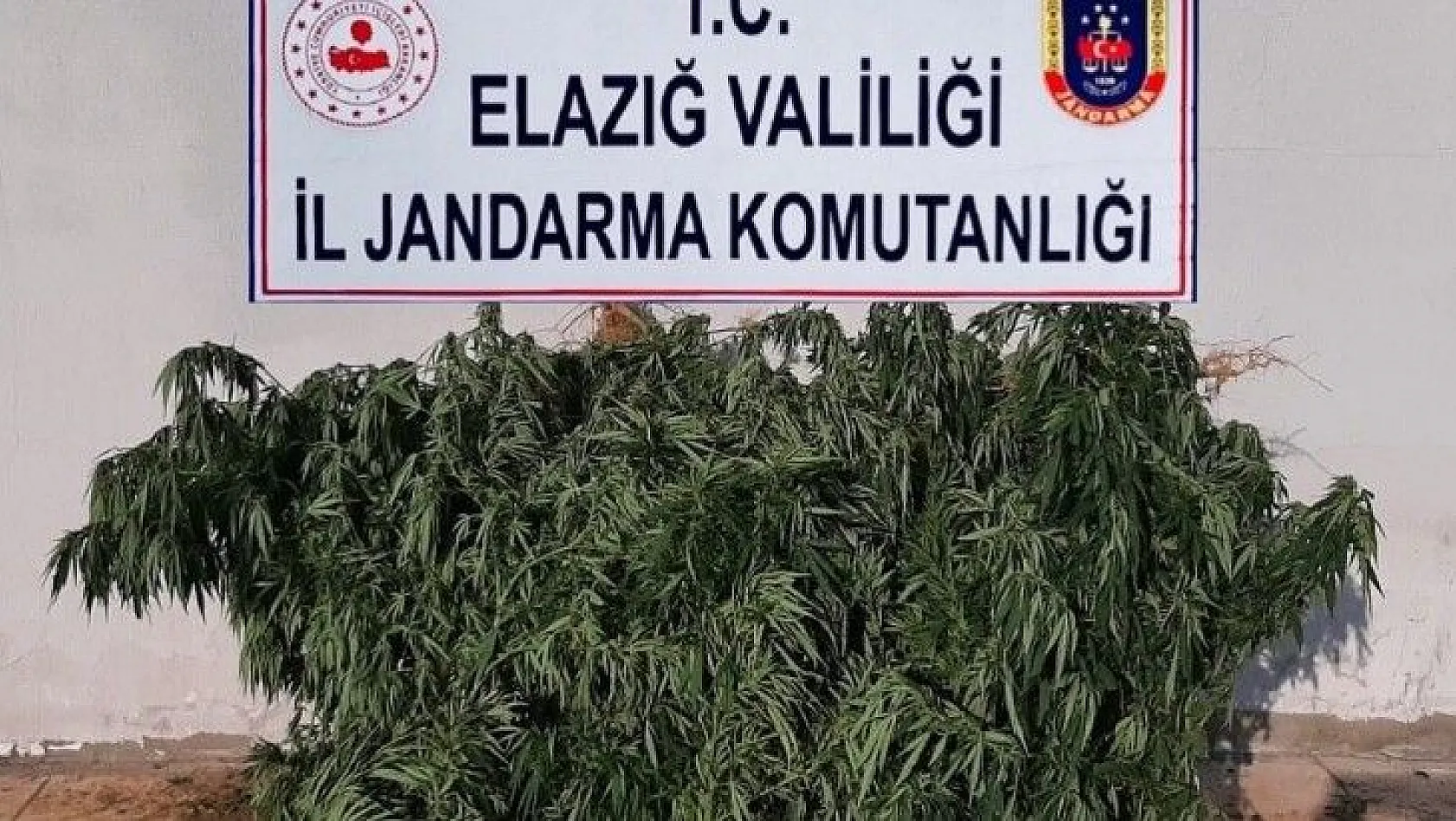 Elazığ'da uyuşturucu operasyonu