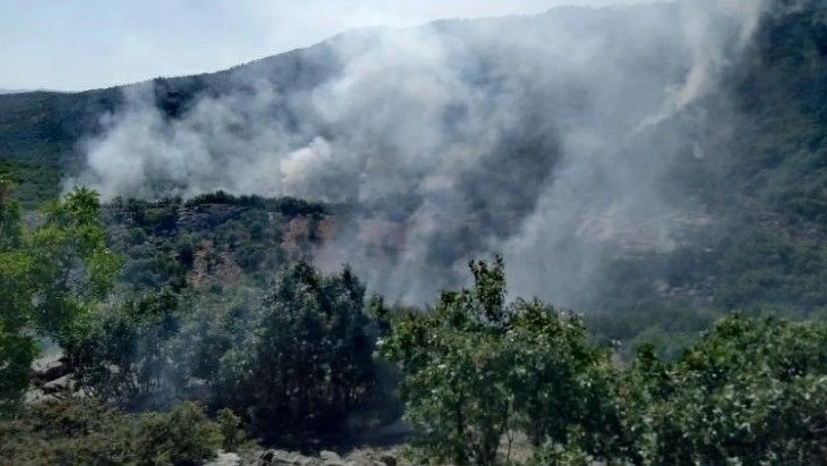 Elazığ'daki yangını söndürme çalışmaları sürüyor