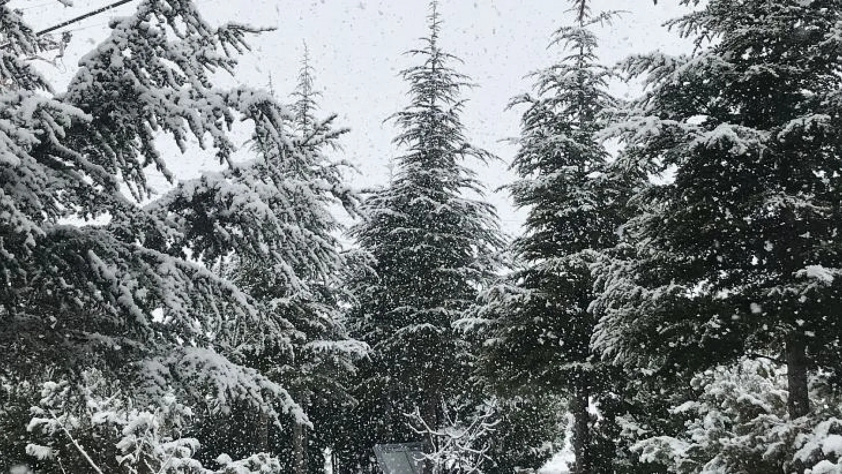 Elazığ yeniden beyaz gelinliği giydi