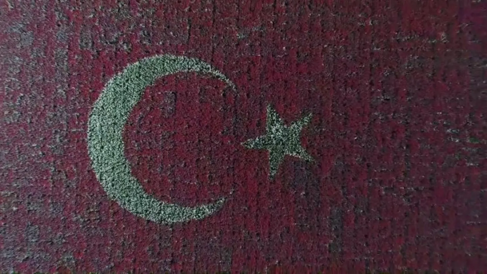Türk Bayrağı temalı lale peyzajıyla dünya rekoru