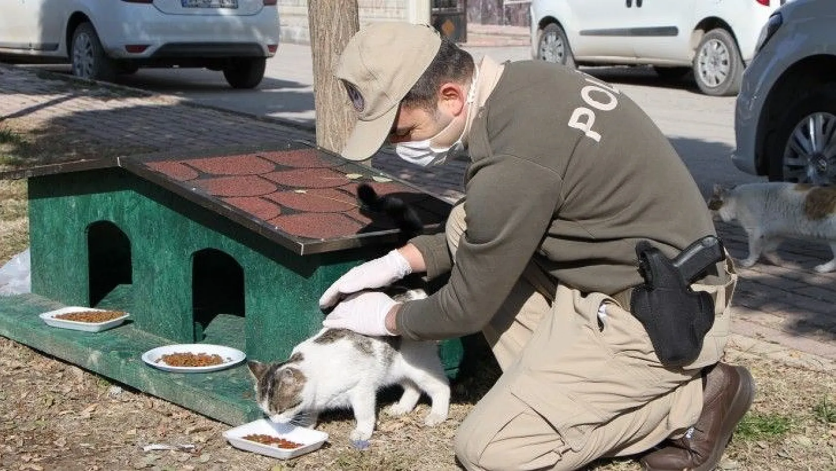 Hayvanları koruma polisi, sokak hayvanlarını besledi