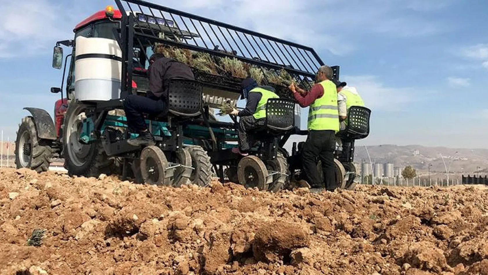 İpek Yolu Gençlik Merkezi'nden lavanta parkı